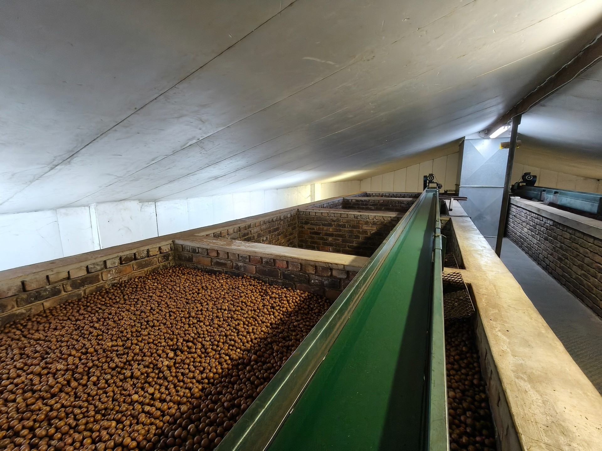 303ha Commercial Macadamia Farm For Sale