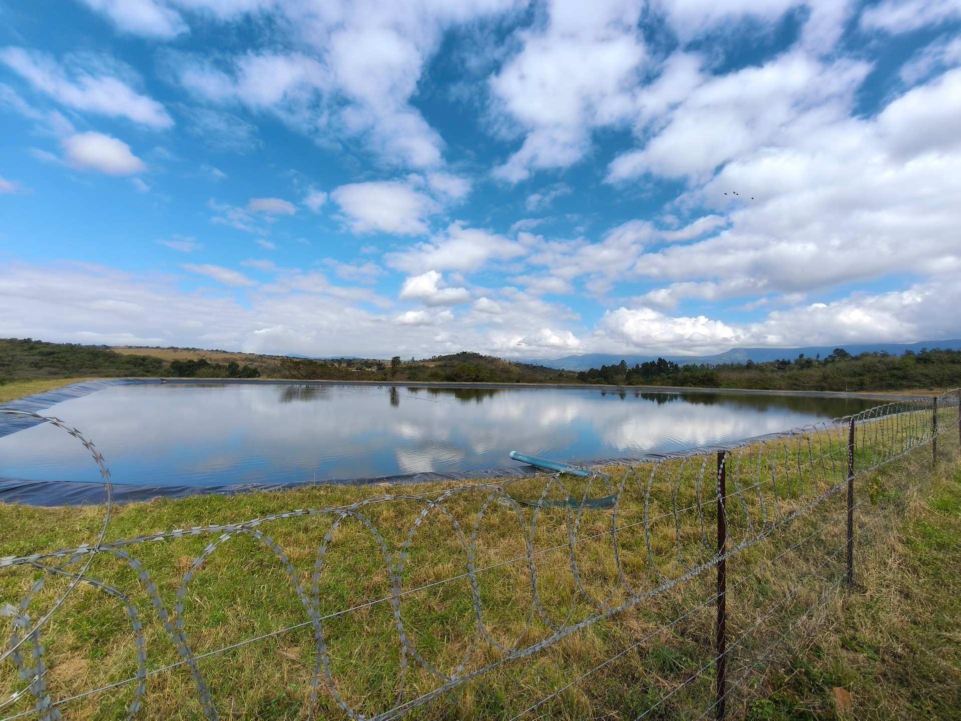 303ha Commercial Macadamia Farm For Sale
