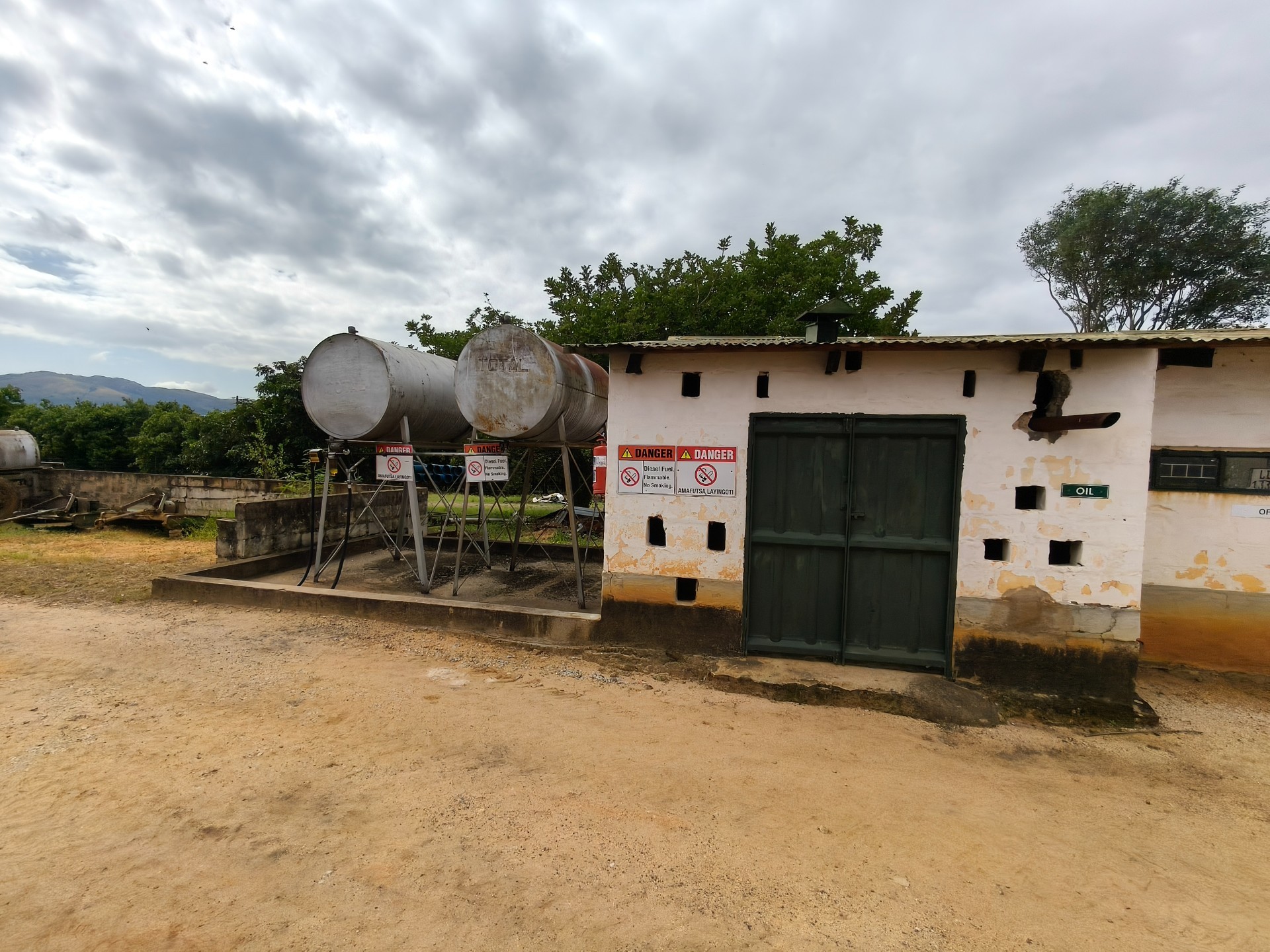 303ha Commercial Macadamia Farm For Sale