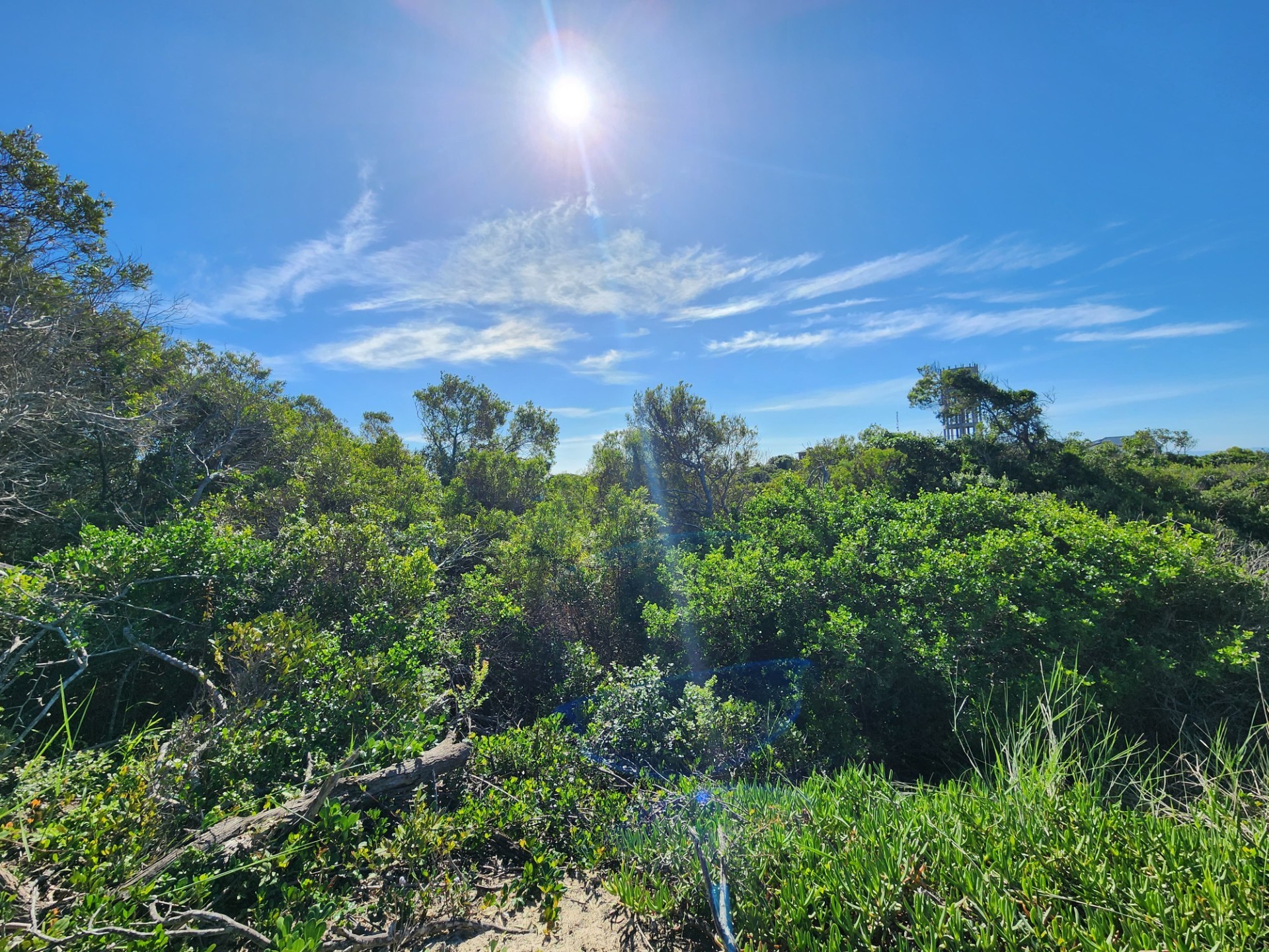 Vacant Land For Sale in Paradise Beach Jeffreys Bay Eastern Cape