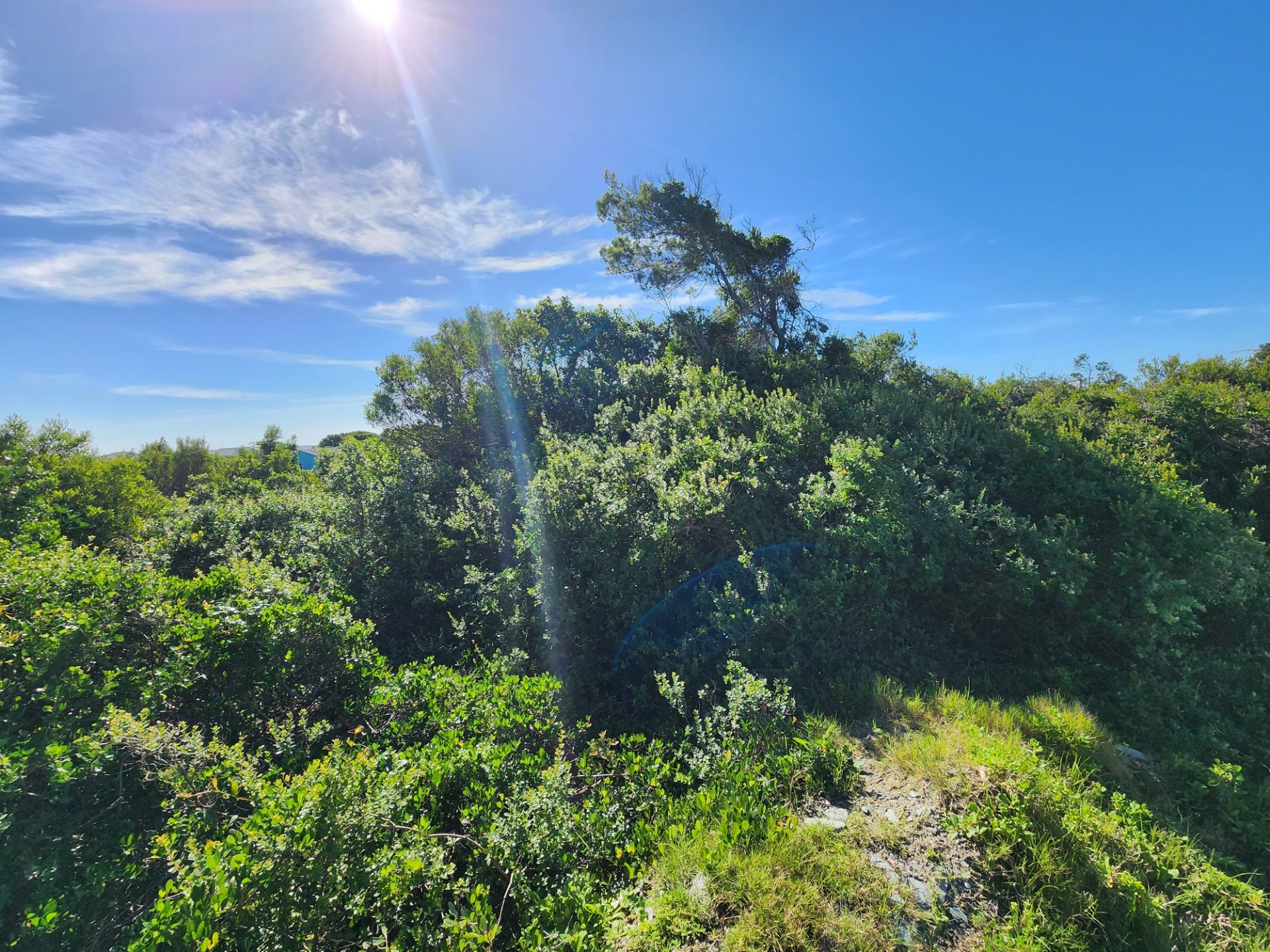 Vacant Land For Sale in Paradise Beach Jeffreys Bay Eastern Cape