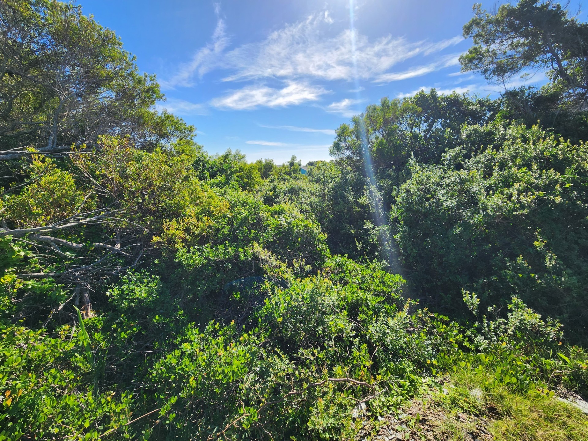 Vacant Land For Sale in Paradise Beach Jeffreys Bay Eastern Cape