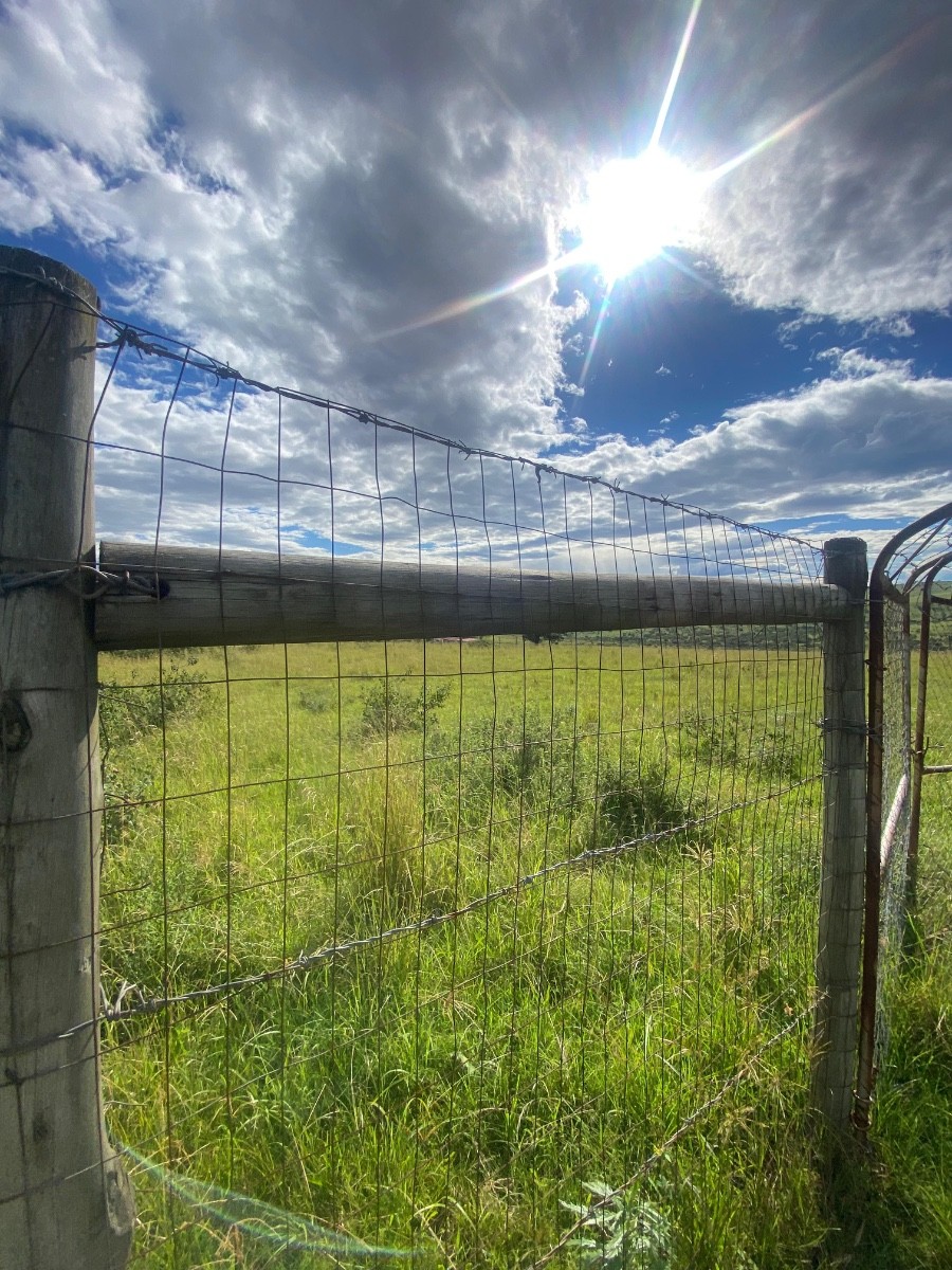 Vacant Land For Sale in Zazulwana A, Butterworth Rural, Butterworth