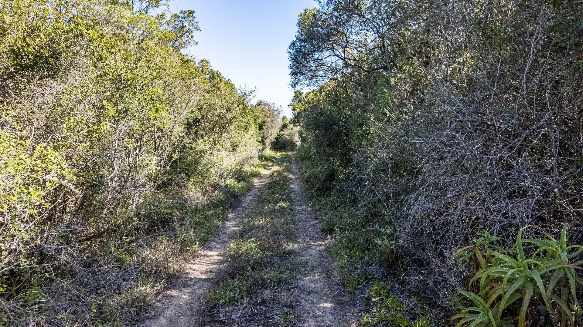 Vacant Land For Sale in Wilderness Rural, Wilderness