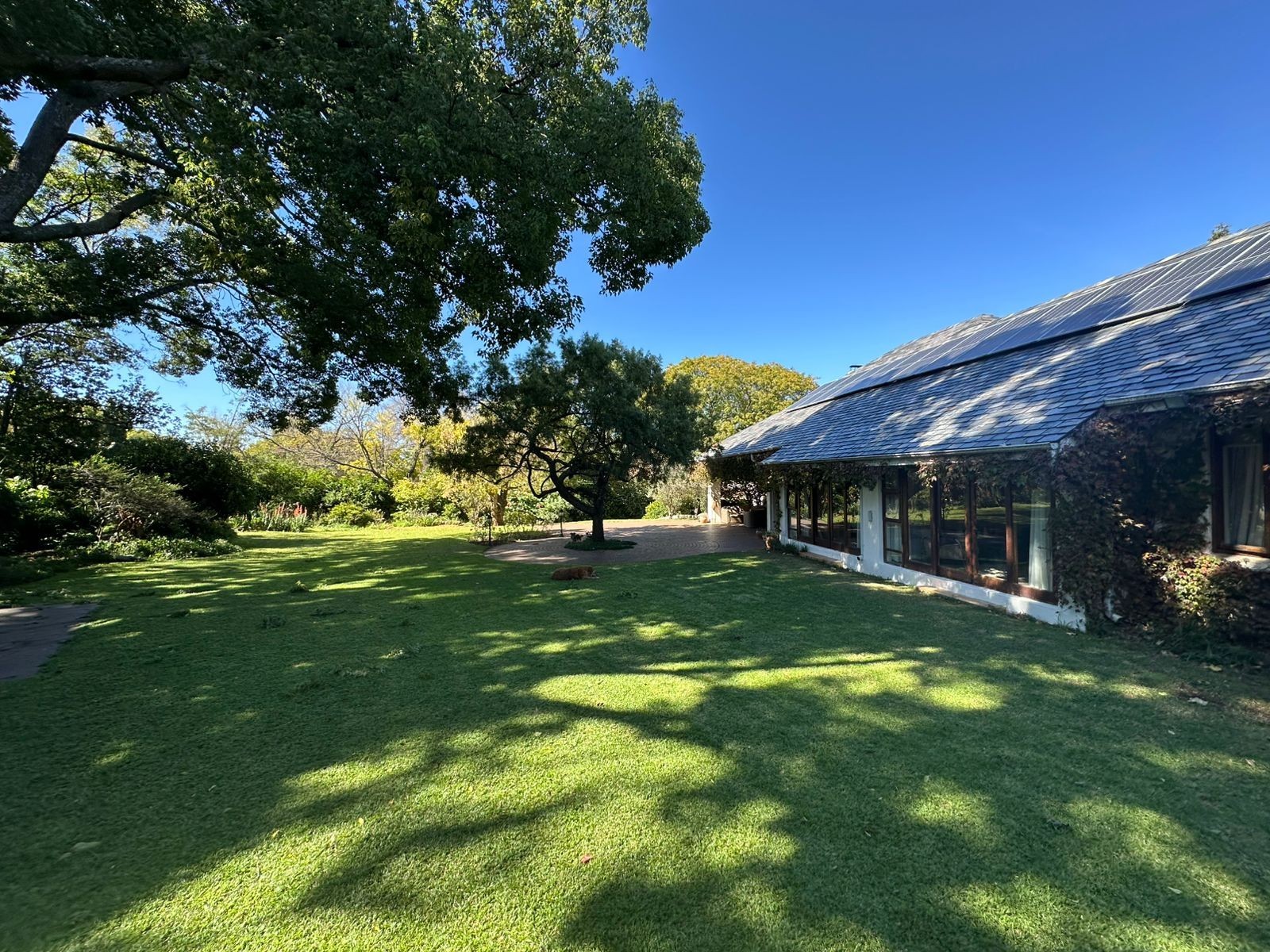 Beautifully appointed family home with huge garden Oasis, in the leafy suburbs of Birdhaven.