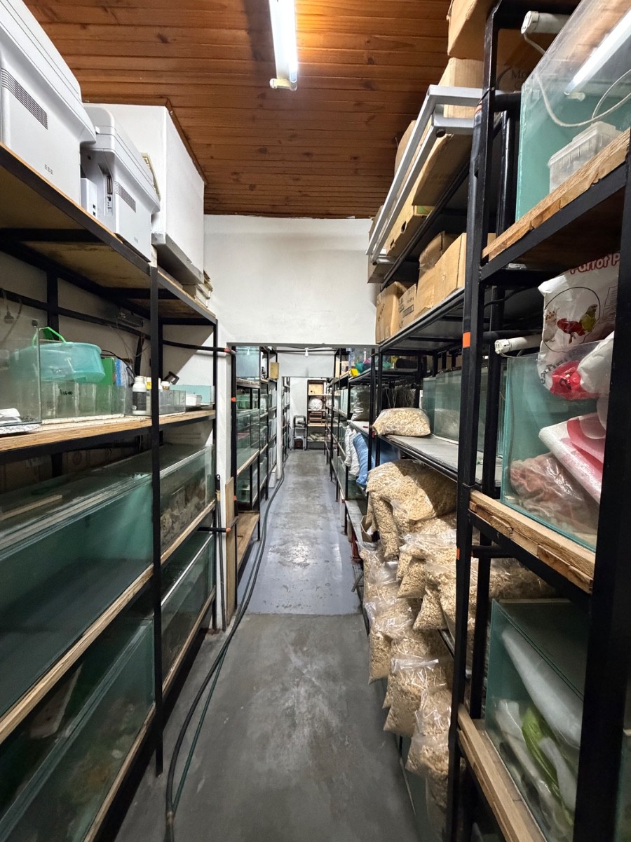 Commercial Property for rent in Paarl North, Paarl, 221 m²
