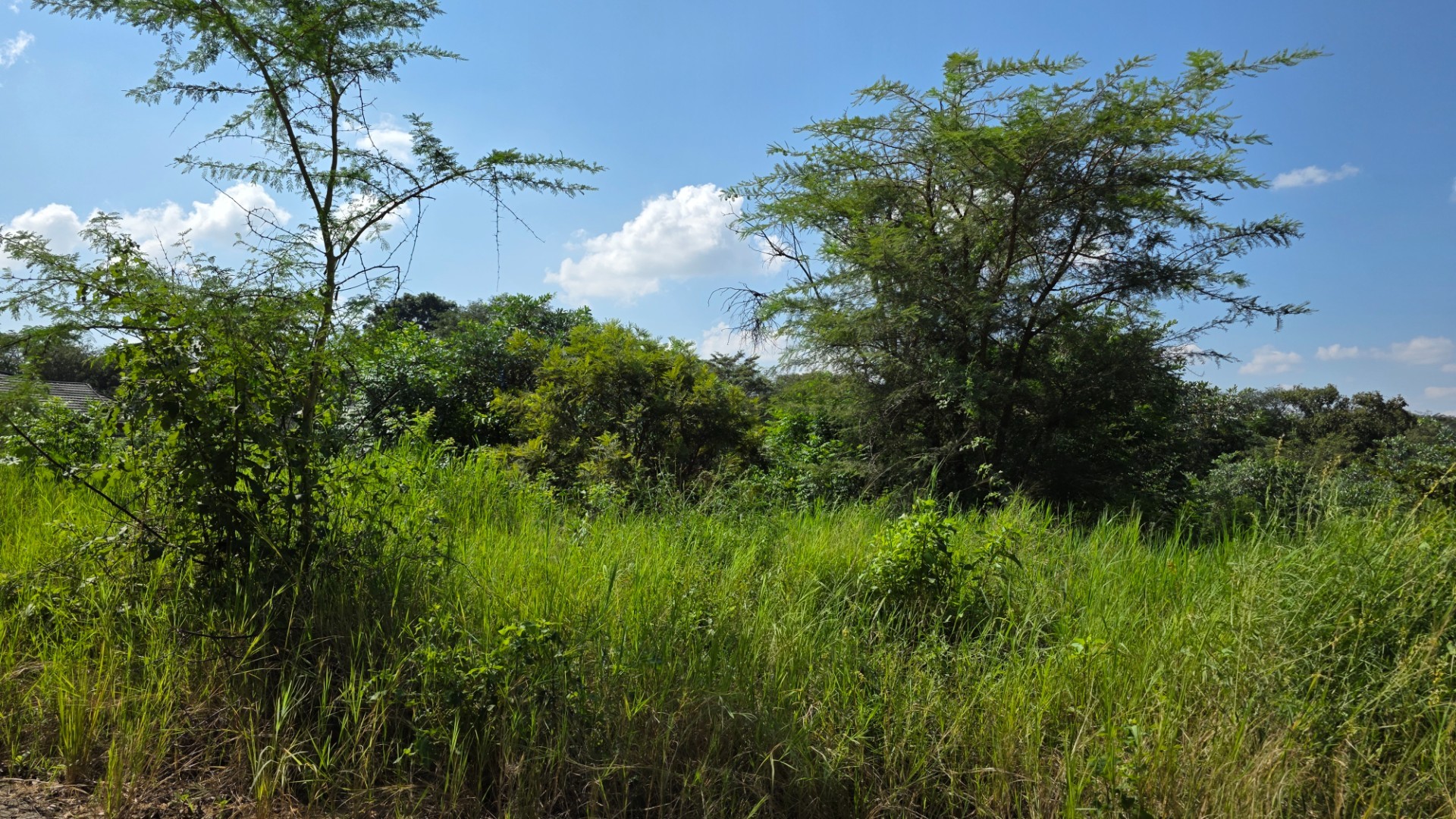Prime Vacant Stand in a Well-Located Part of Hazyview