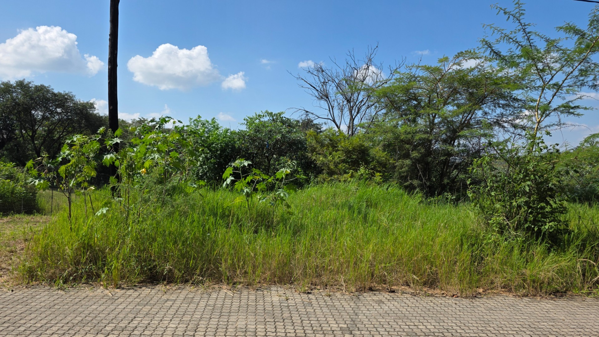Prime Vacant Stand in a Well-Located Part of Hazyview