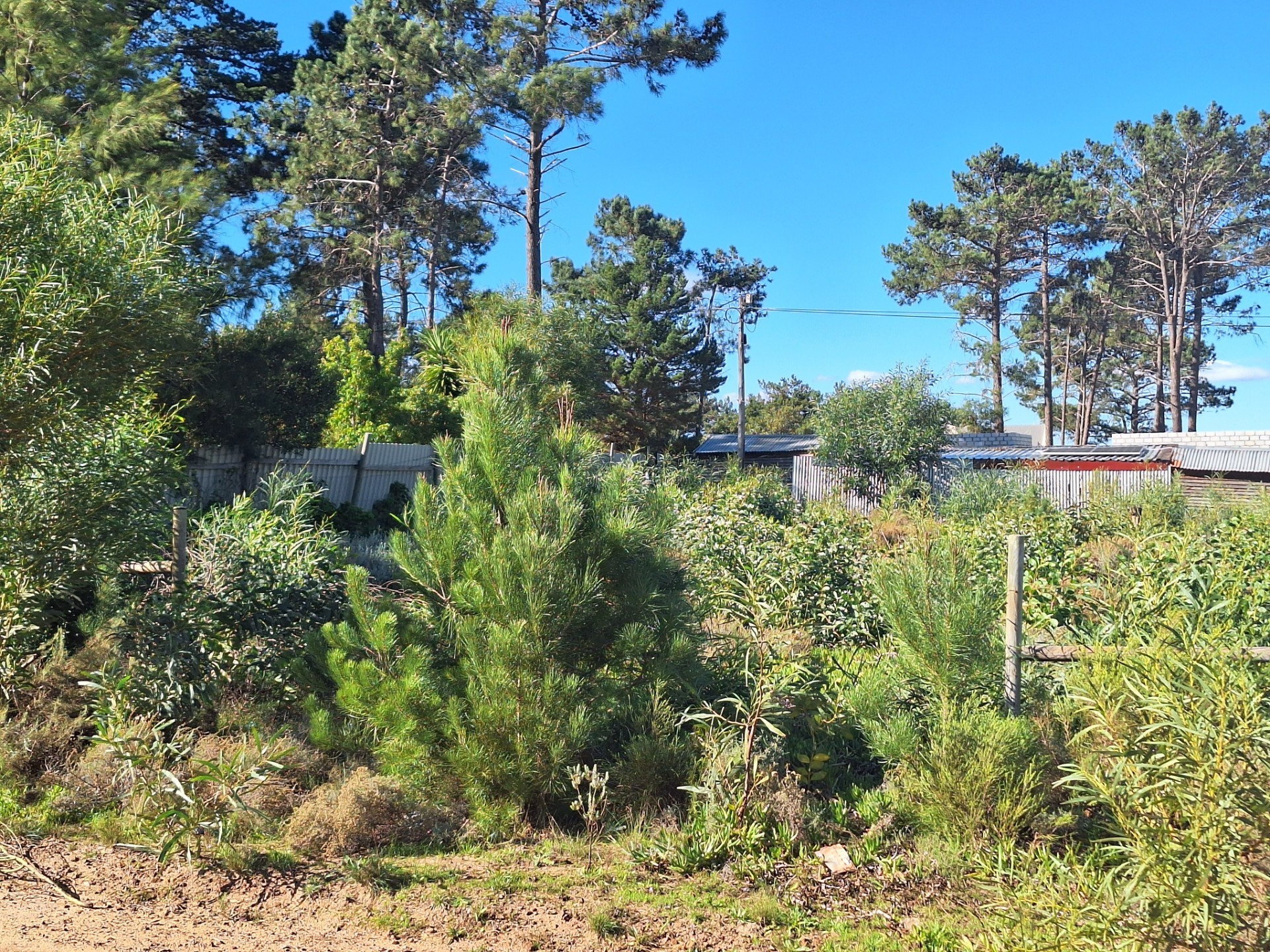 Vacant Land For Sale in Bot River