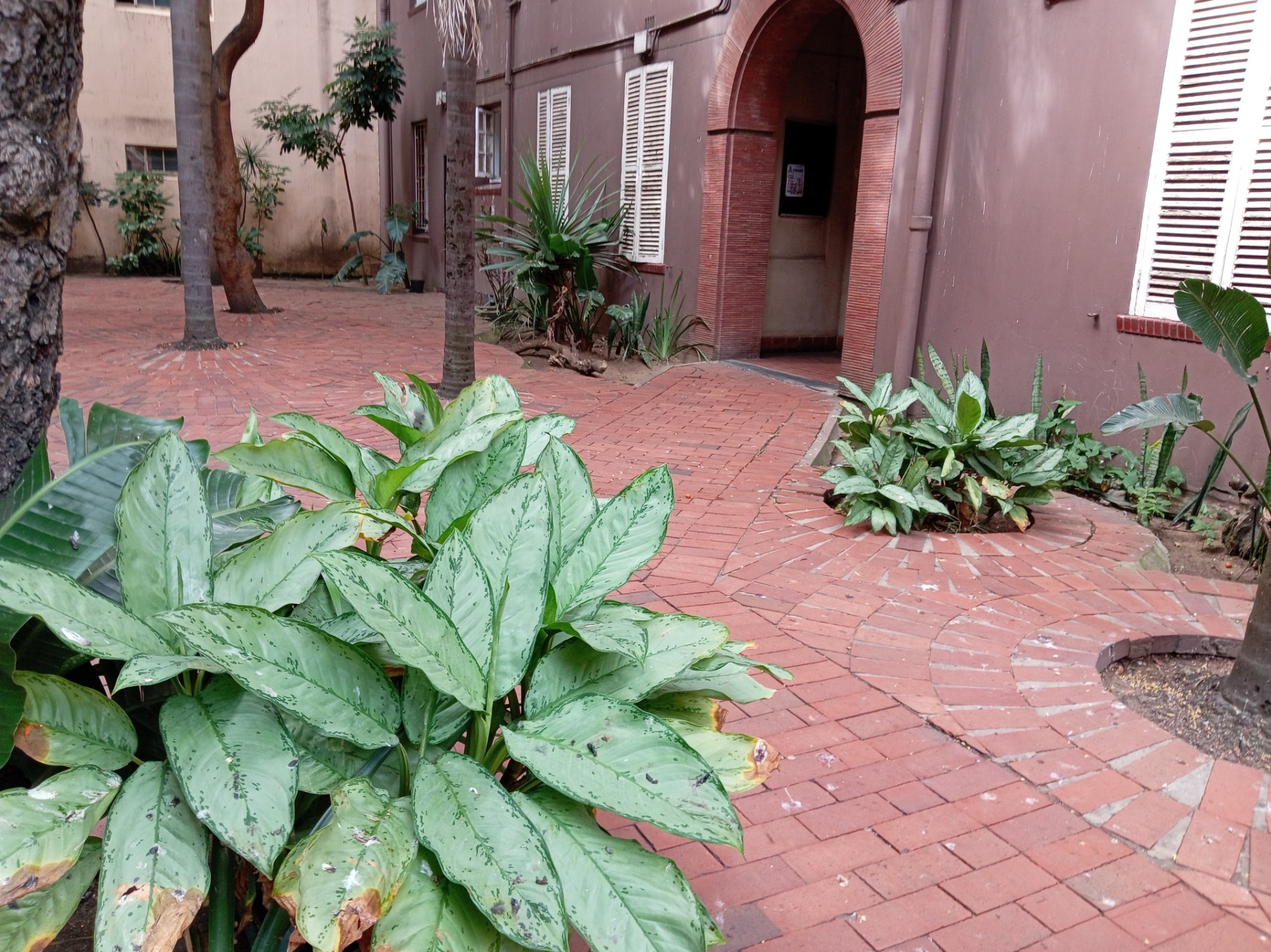 Apartment For Sale in Durban Central, Durban, KwaZulu Natal