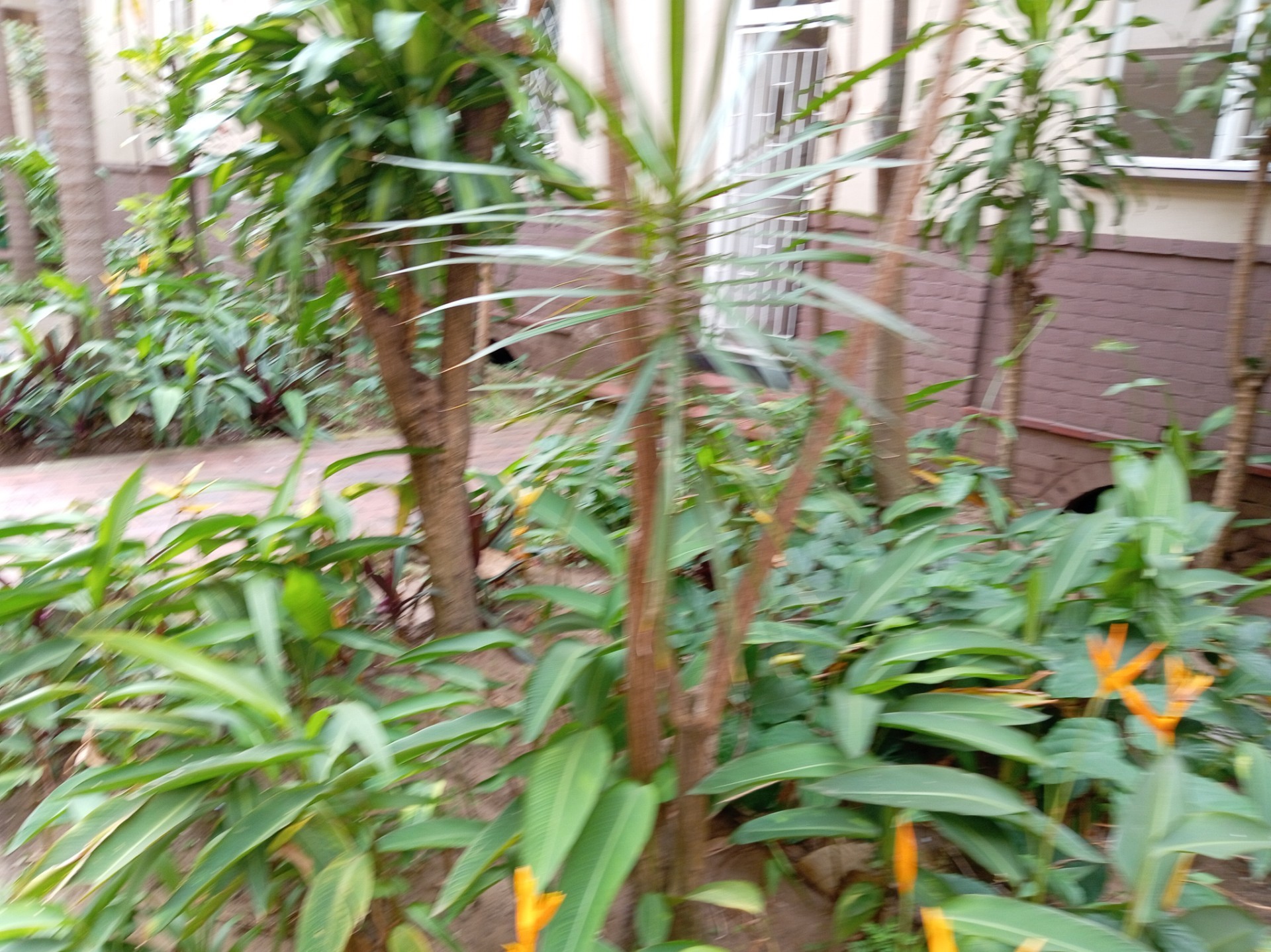 Apartment For Sale in Durban Central, Durban, KwaZulu Natal