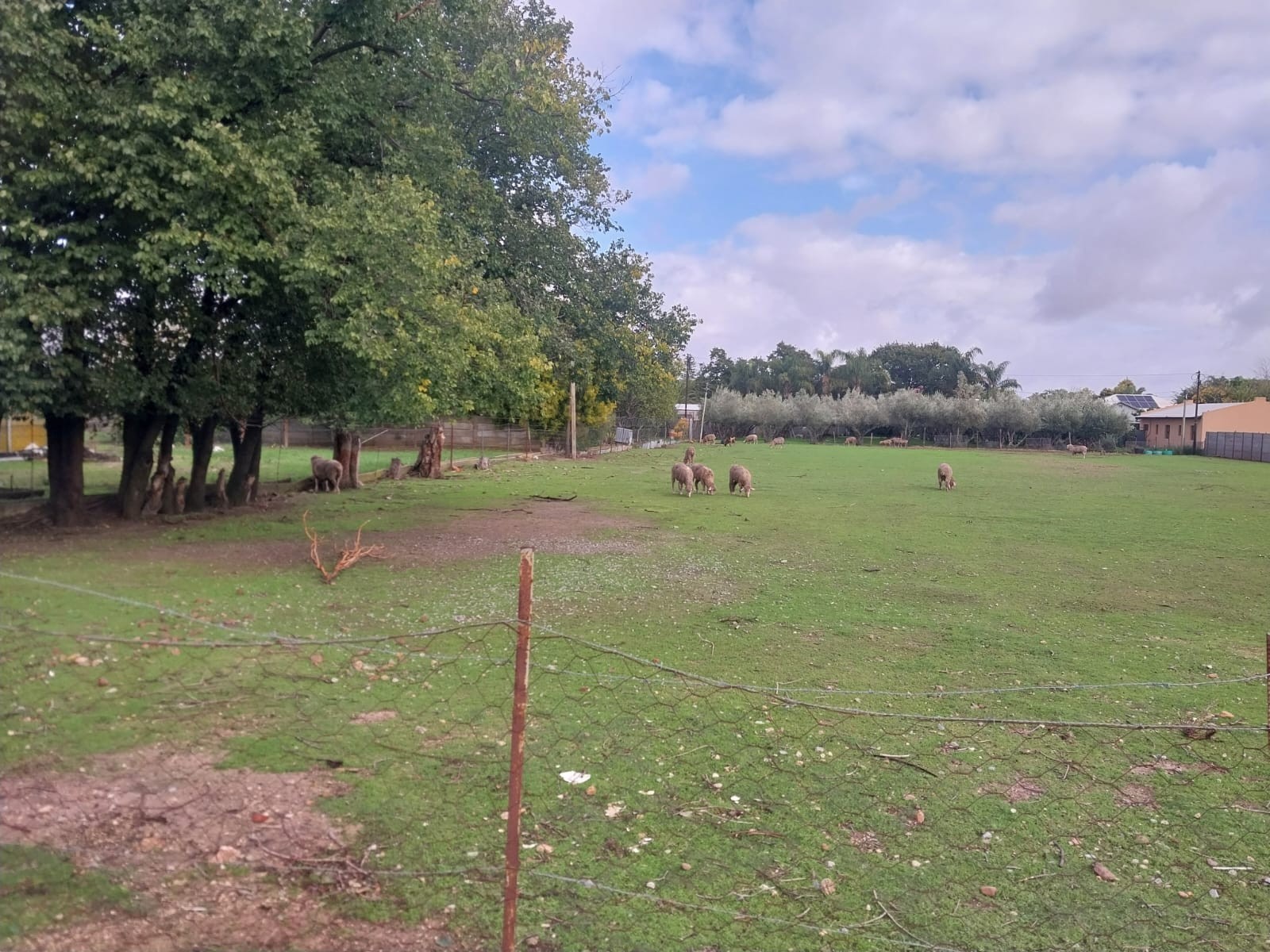 2855 sqm plot - fully fenced with gate in Porterville