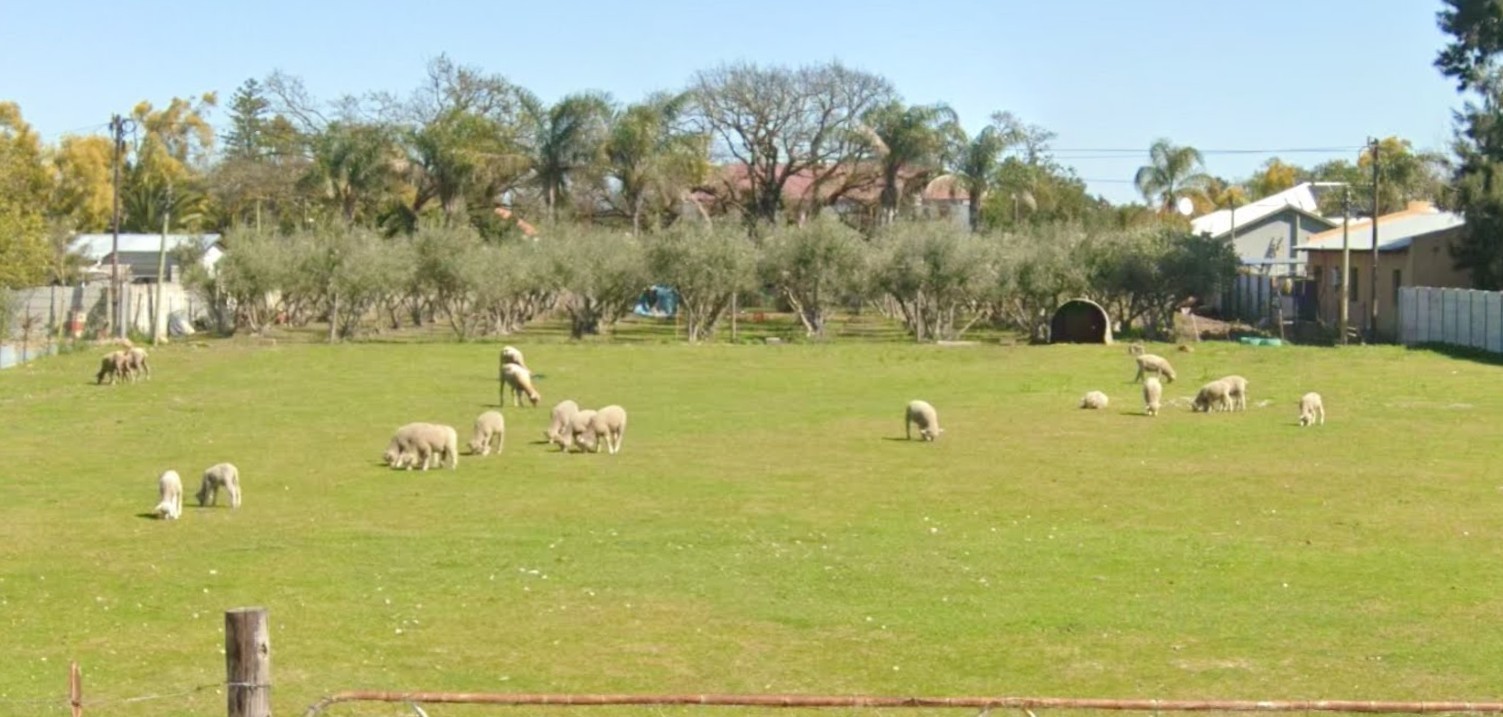 2855 sqm plot - fully fenced with gate in Porterville