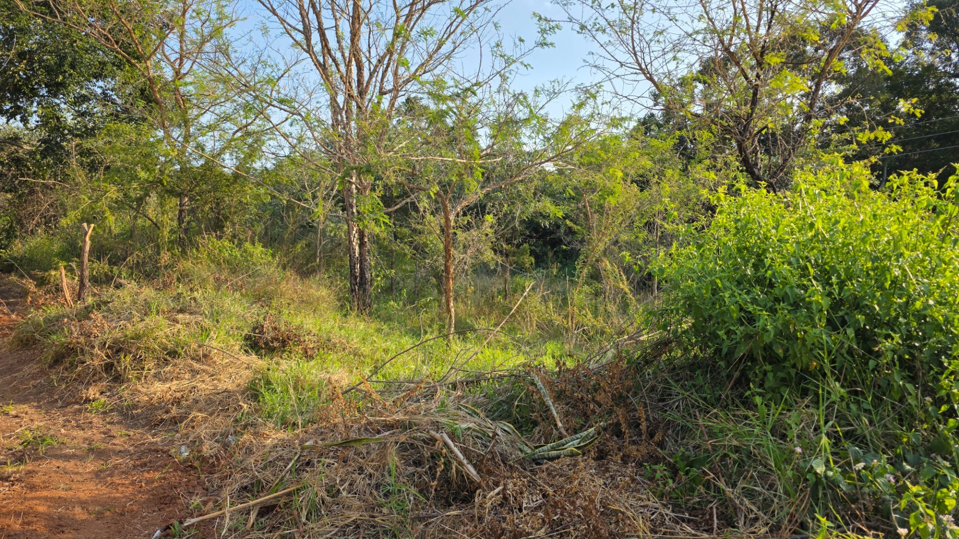 Build Your Dream Home in a Quiet Part of Hazyview