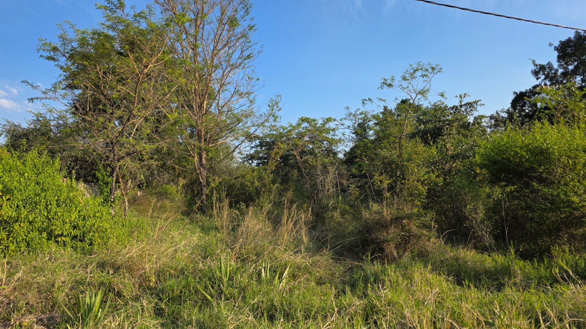 Build Your Dream Home in a Quiet Part of Hazyview