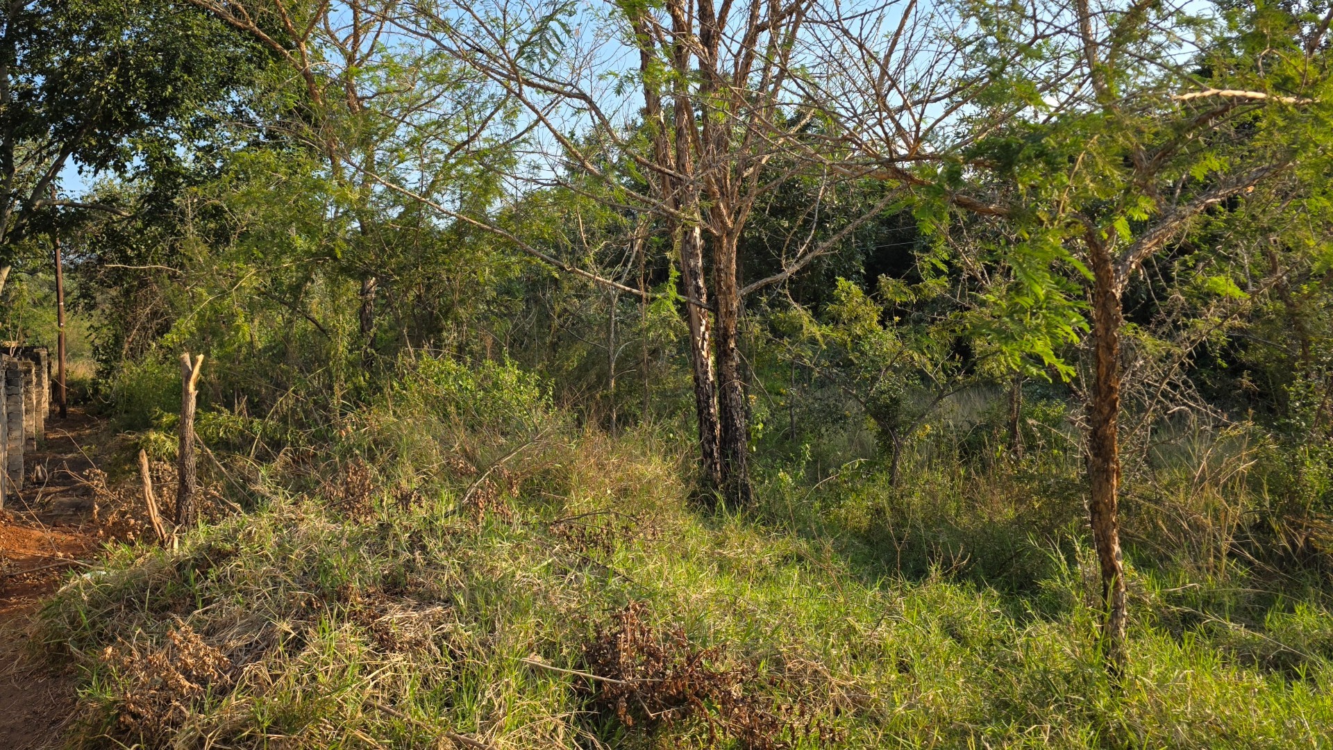 Build Your Dream Home in a Quiet Part of Hazyview