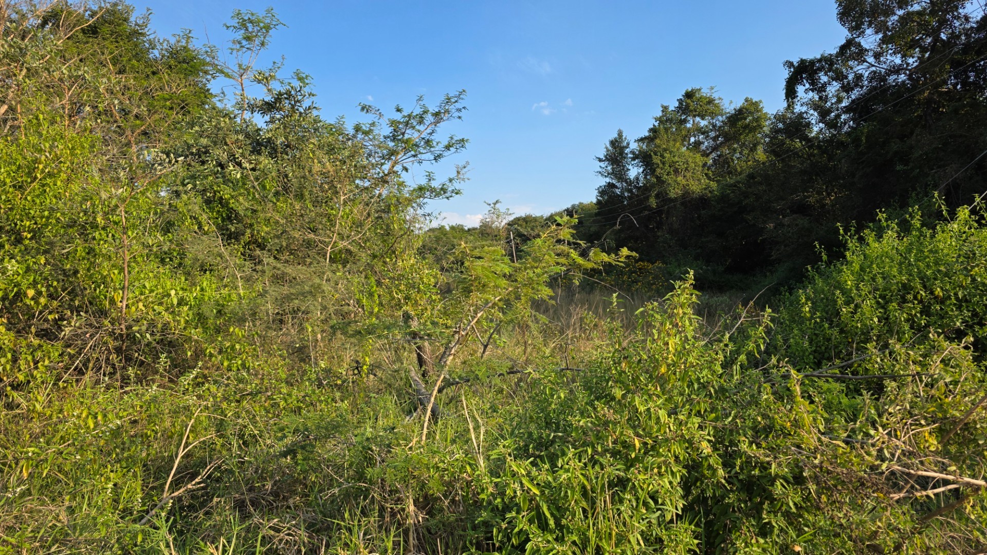 Build Your Dream Home in a Quiet Part of Hazyview