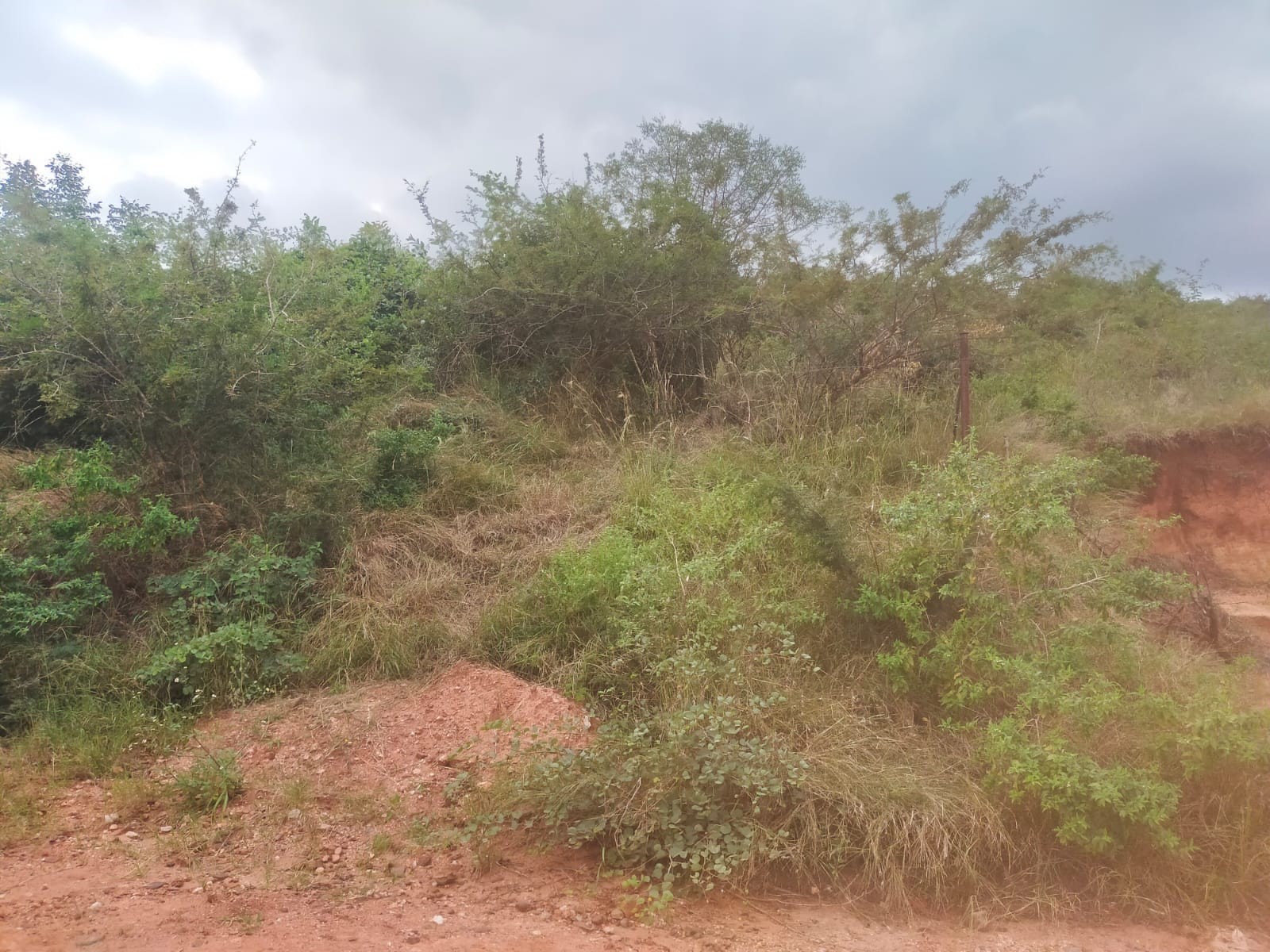 Vacant Land For Sale in Thohoyandou Unit S