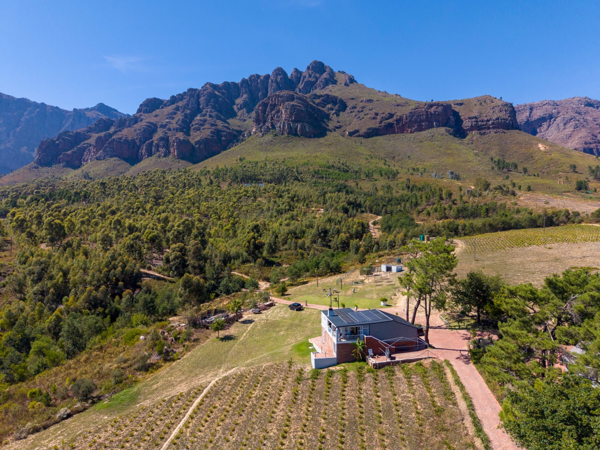 48ha Paarl Lifestyle Farm with Income, Water Infrastructure and Mountain Views
