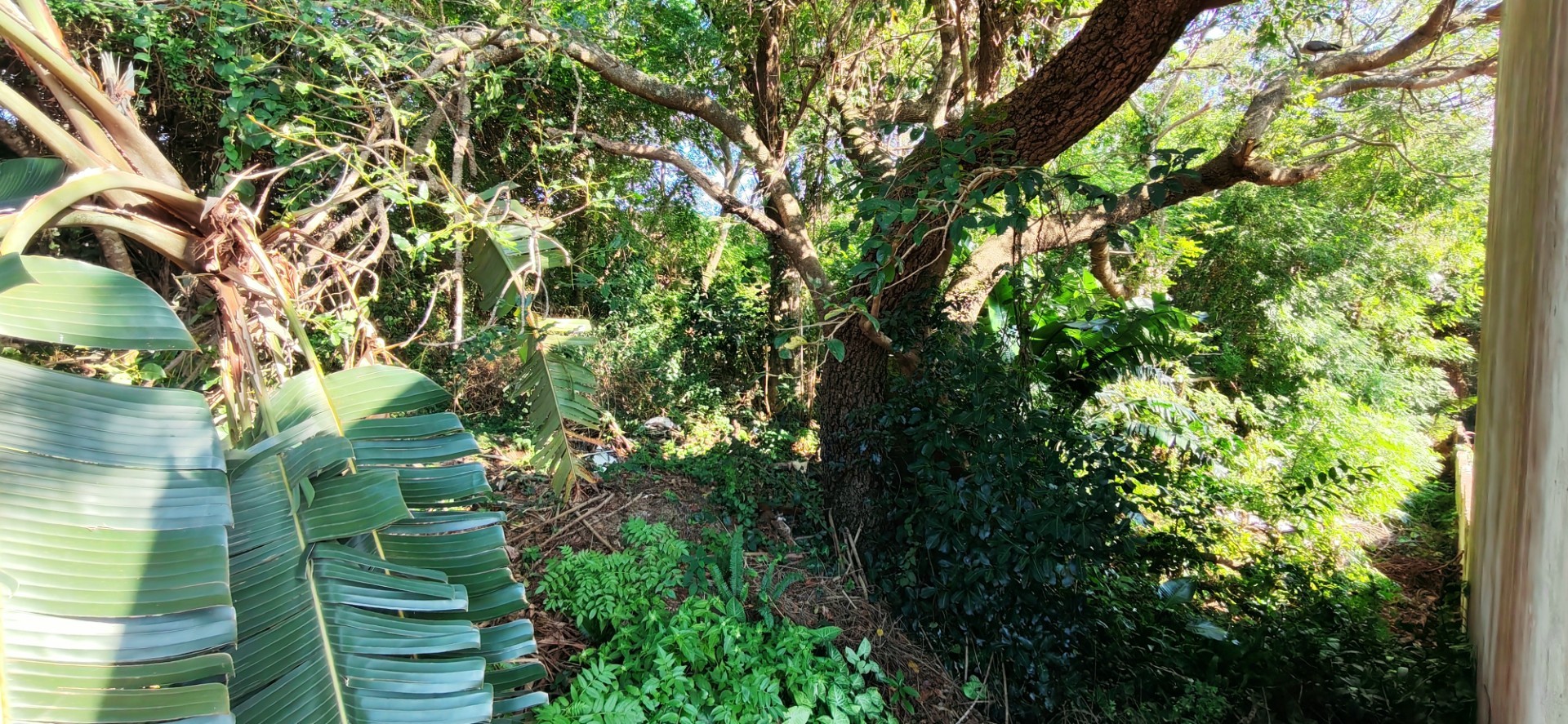 Inland coastal bliss! Land For Sale in St Michaels On Sea, Margate, KwaZulu Natal