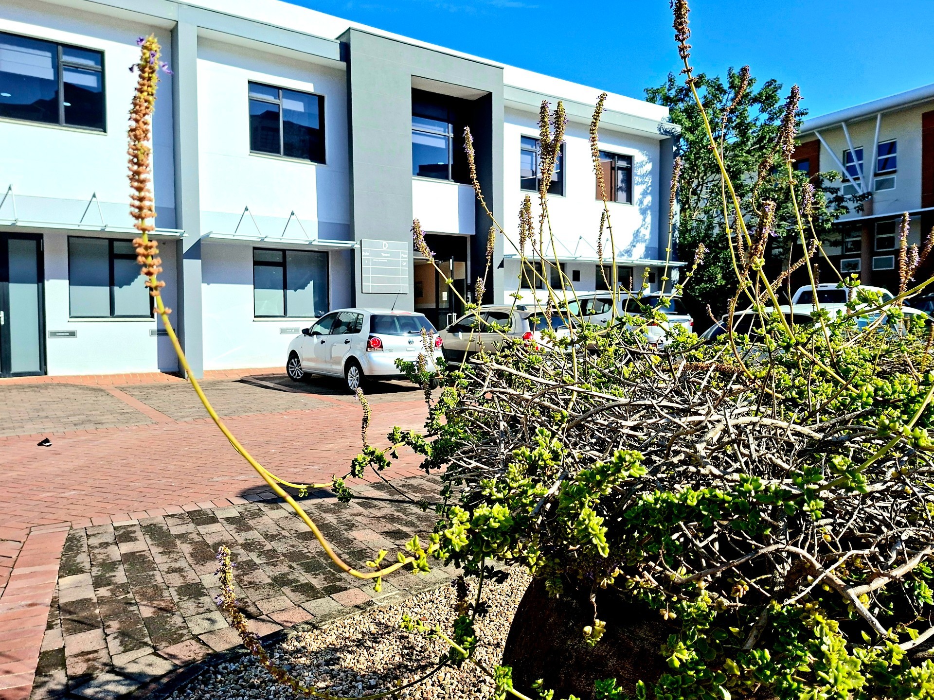 Office To Rent in Westville, Durban, KwaZulu Natal