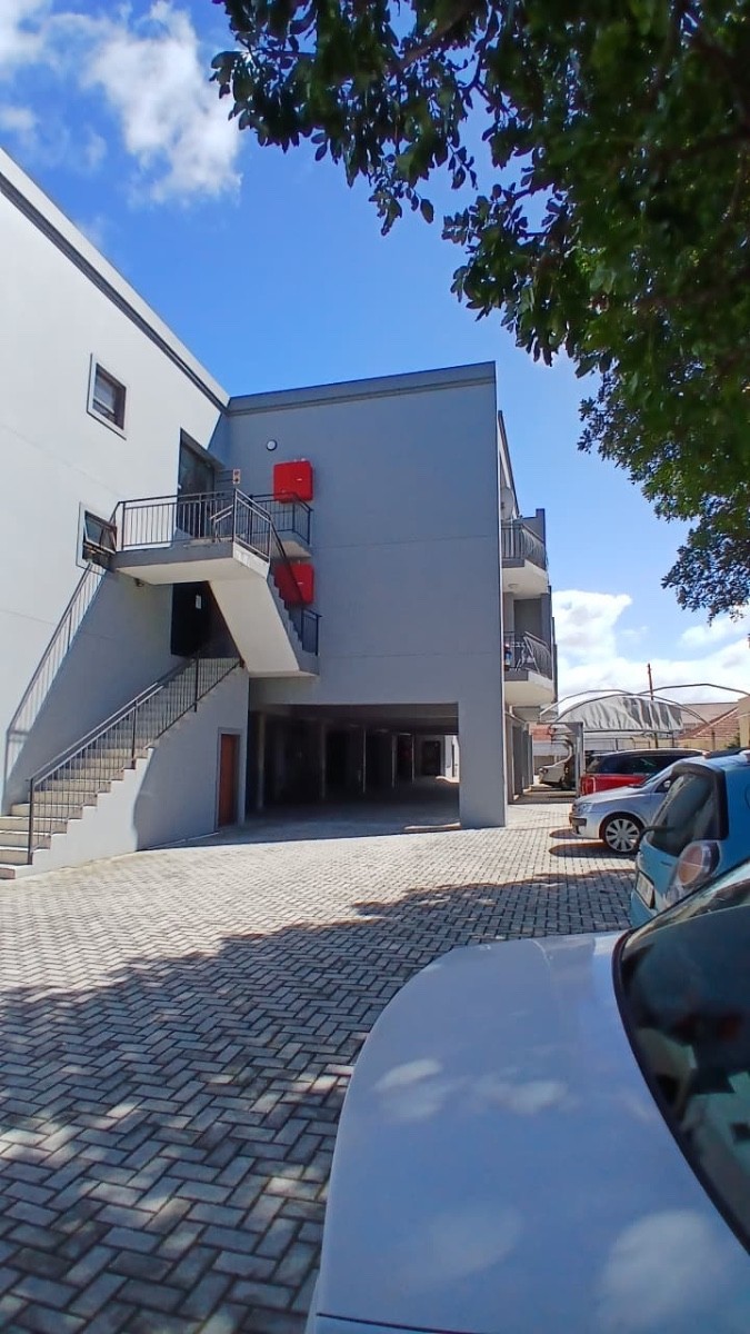 Modern Bachelor Apartment in Prime Newton Park