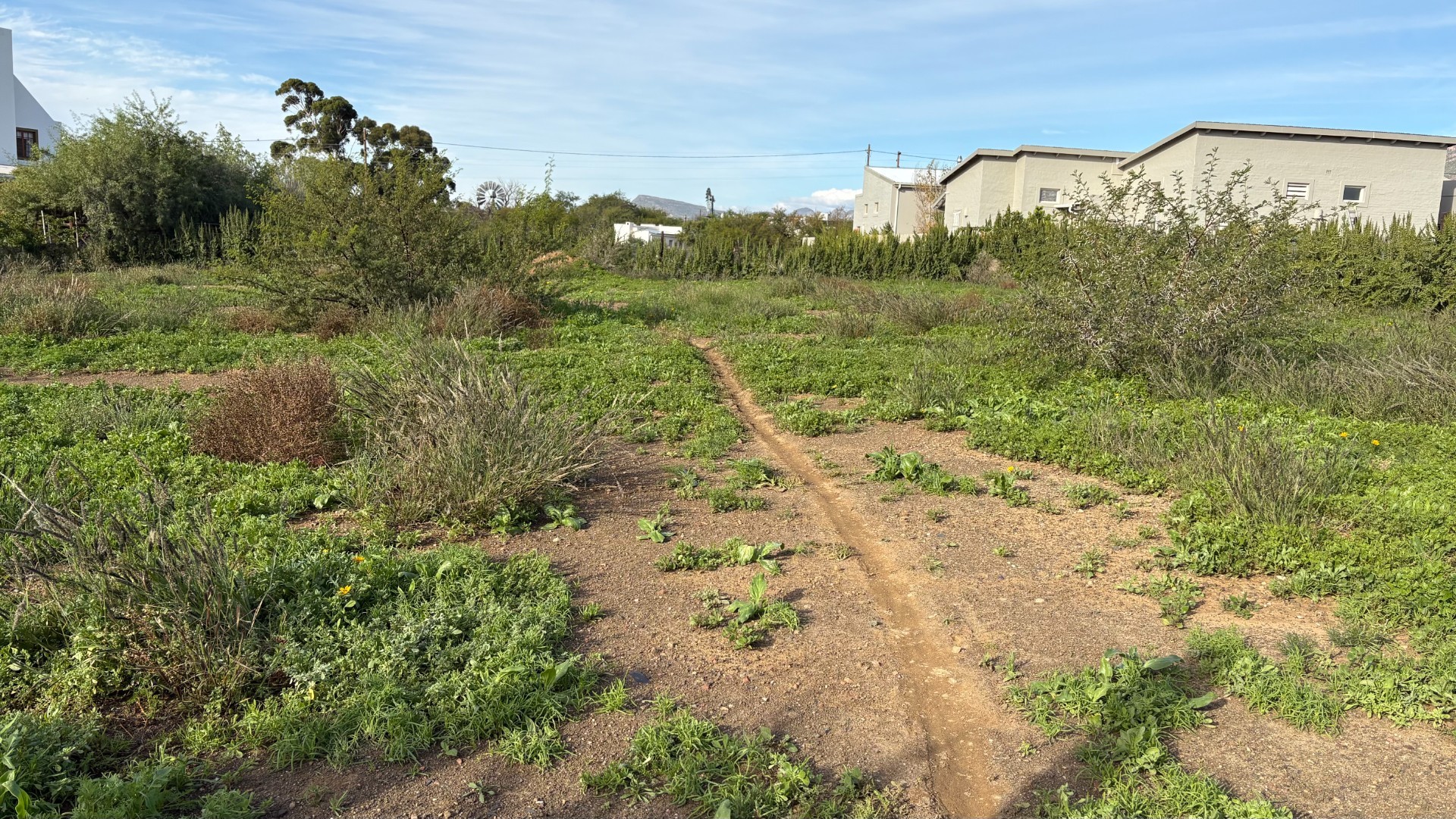 Build Your Dream Beneath the Karoo Mountain