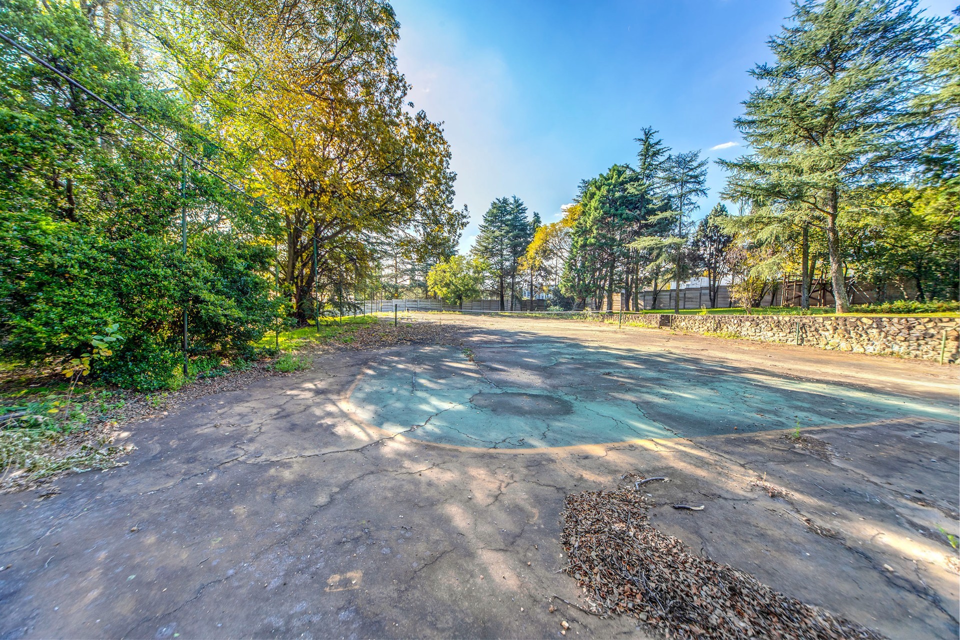 Easy Living Morningside Gem On A Large Stand