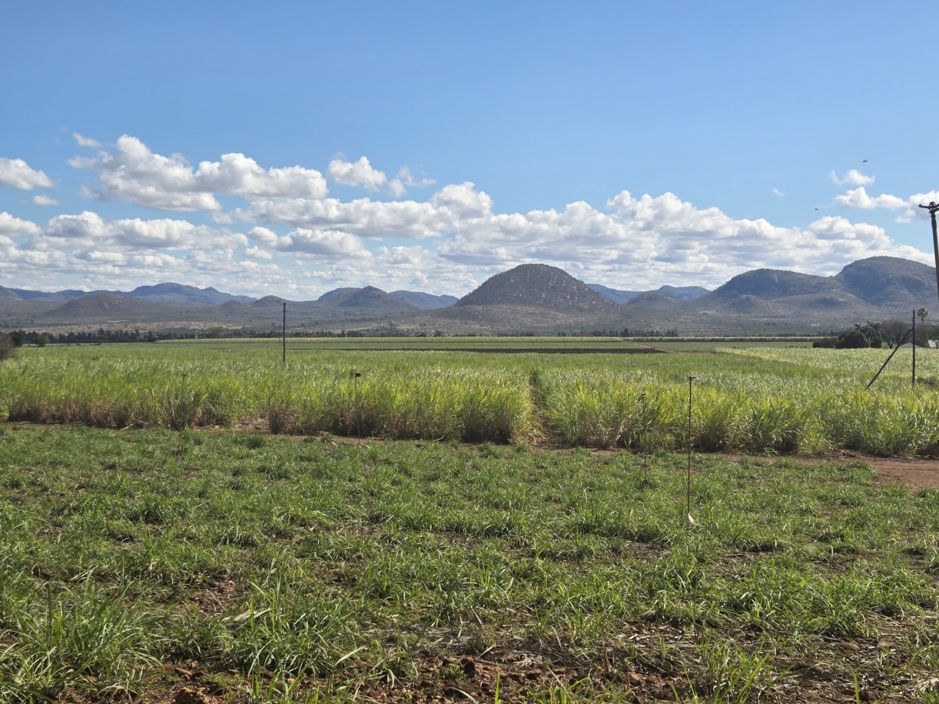 Farm for sale in Malelane, 1730000 m²