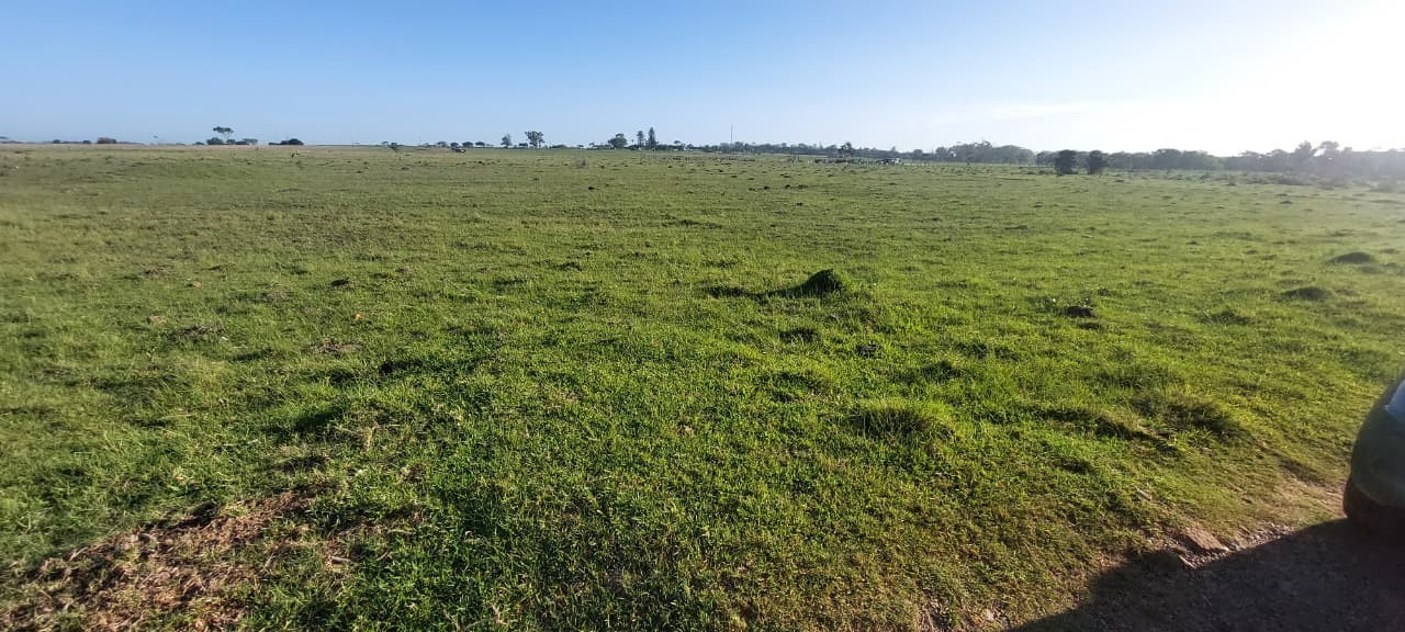 Vacant Land for sale in Greenbushes, Port Elizabeth, 27478 m²