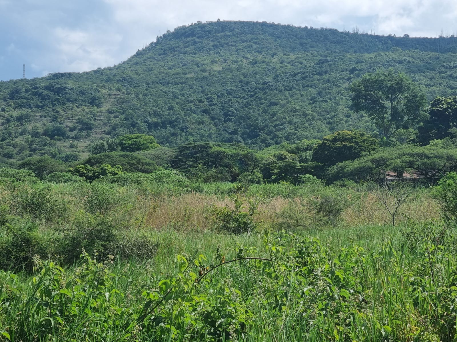Farm, arable agricultural land to be developed with water rights + 3 houses