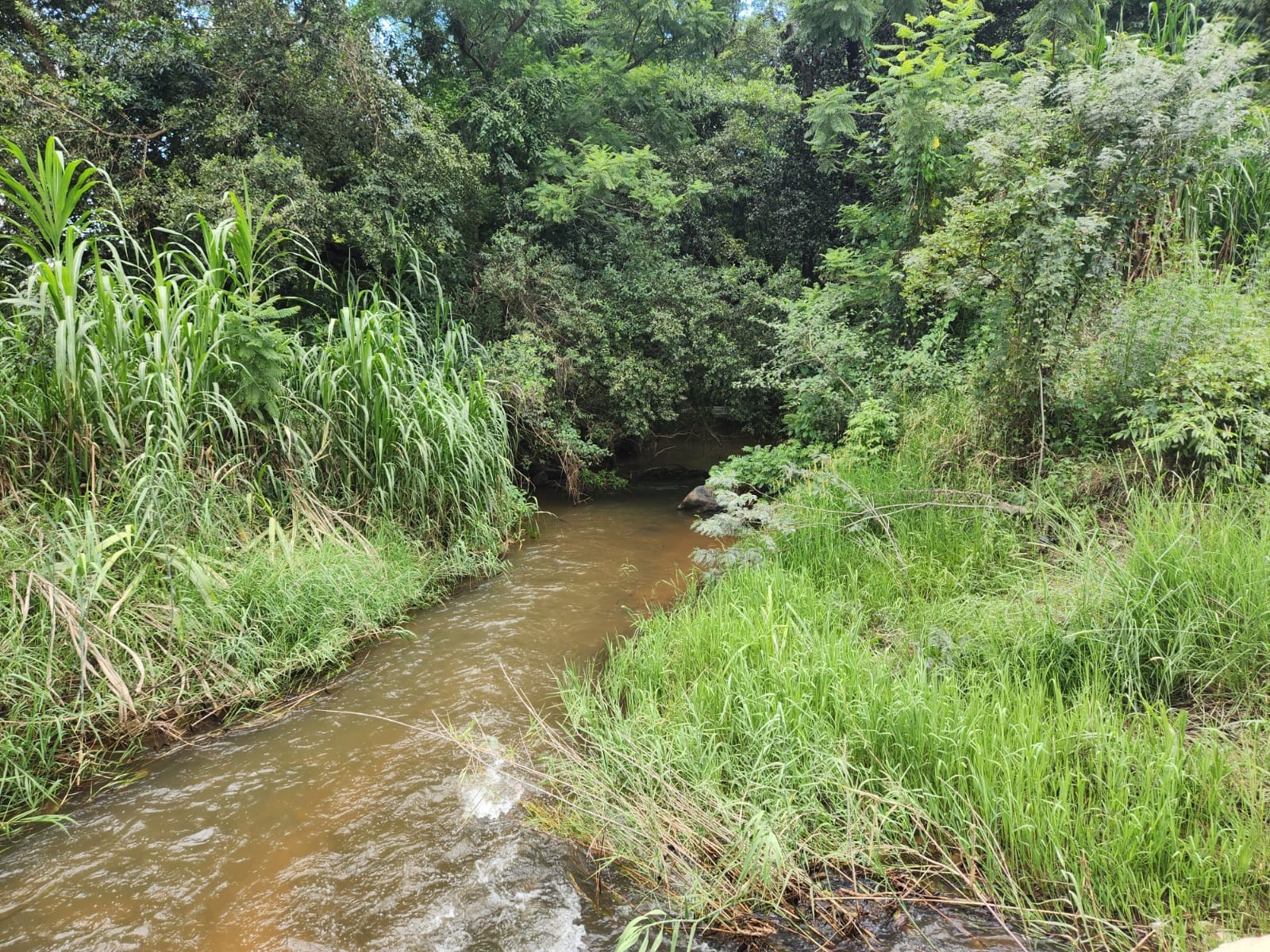 Farm, arable agricultural land to be developed with water rights + 3 houses