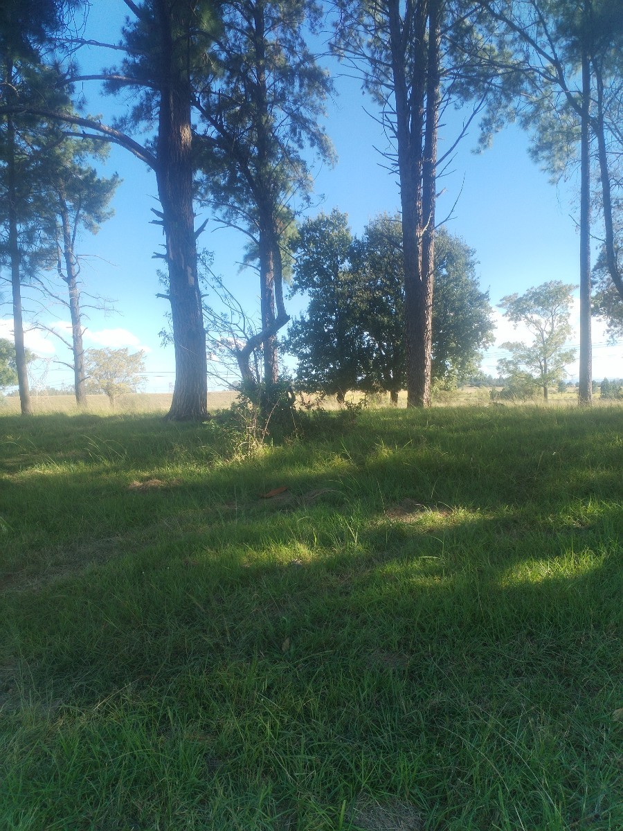 Vacant Land For Sale in Ingagane, Newcastle, KwaZulu Natal