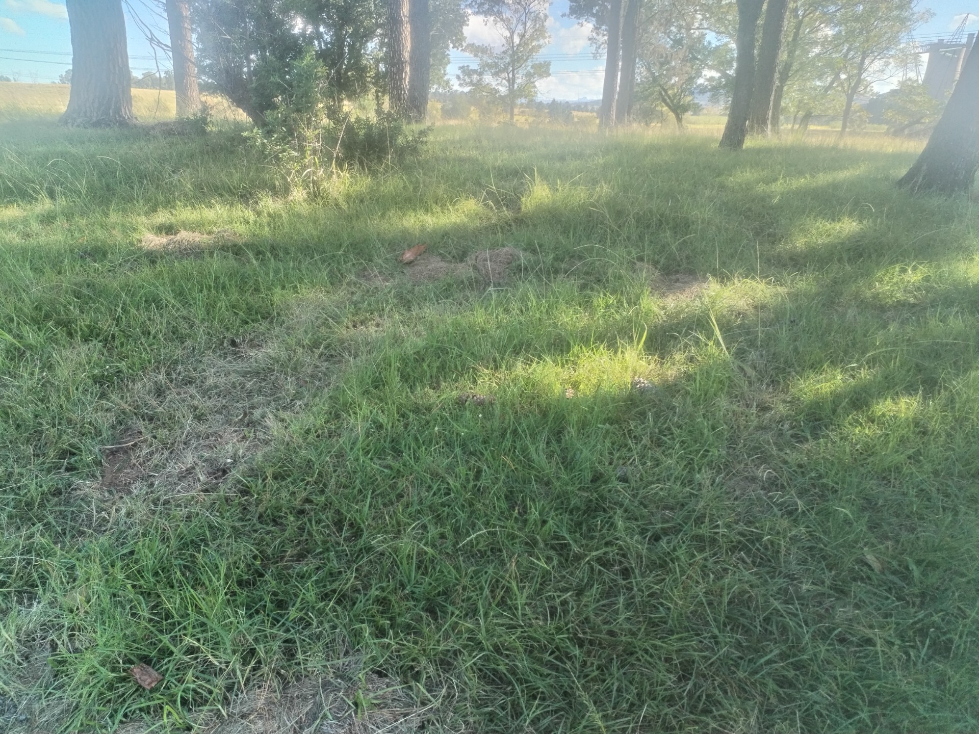 Vacant Land For Sale in Ingagane, Newcastle, KwaZulu Natal