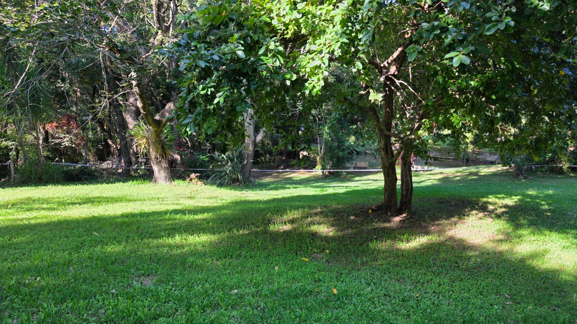 Vacant Stand with Stream Frontage in a Peaceful Setting