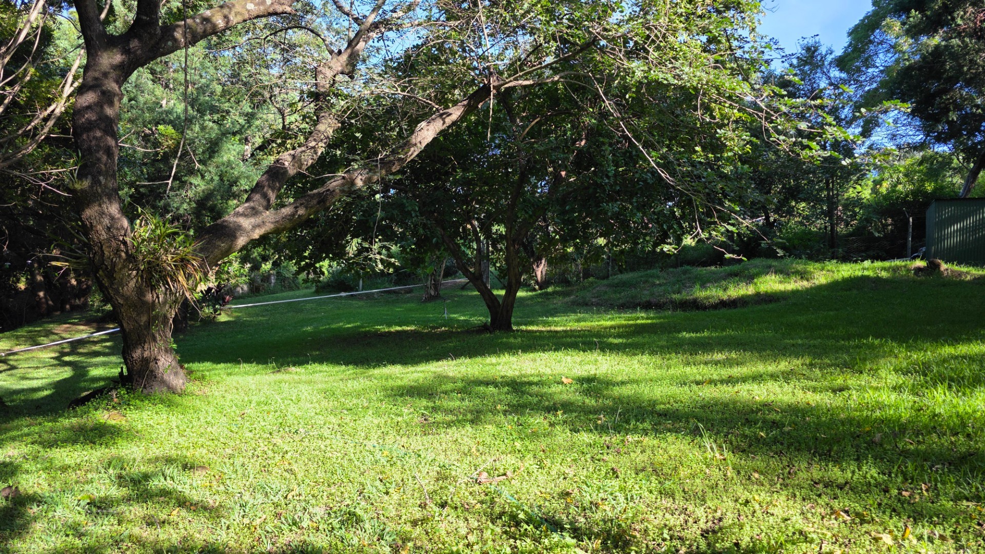 Vacant Stand with Stream Frontage in a Peaceful Setting