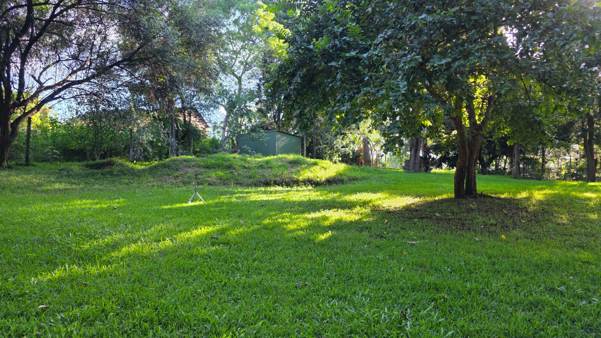 Vacant Stand with Stream Frontage in a Peaceful Setting
