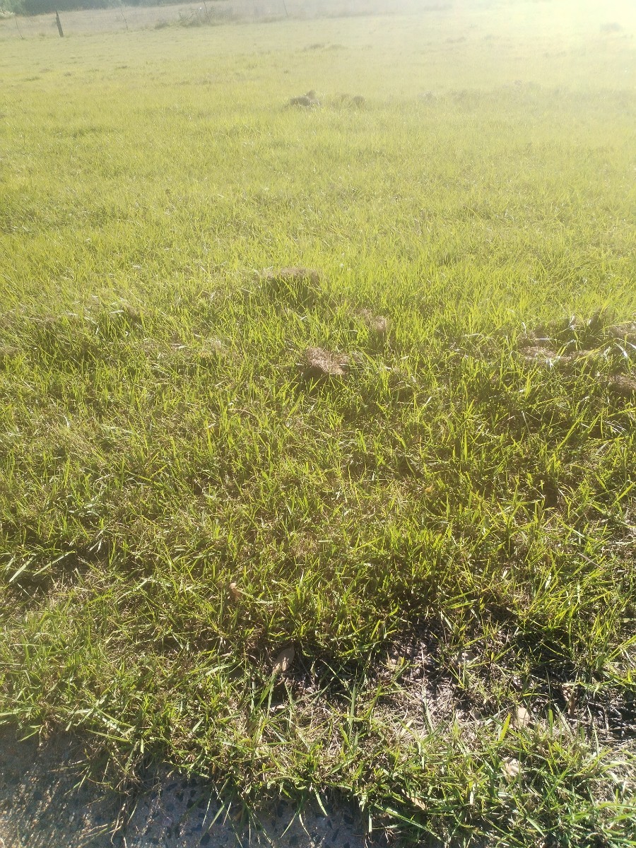 Vacant Land For Sale in Ingagane, Newcastle, KwaZulu Natal