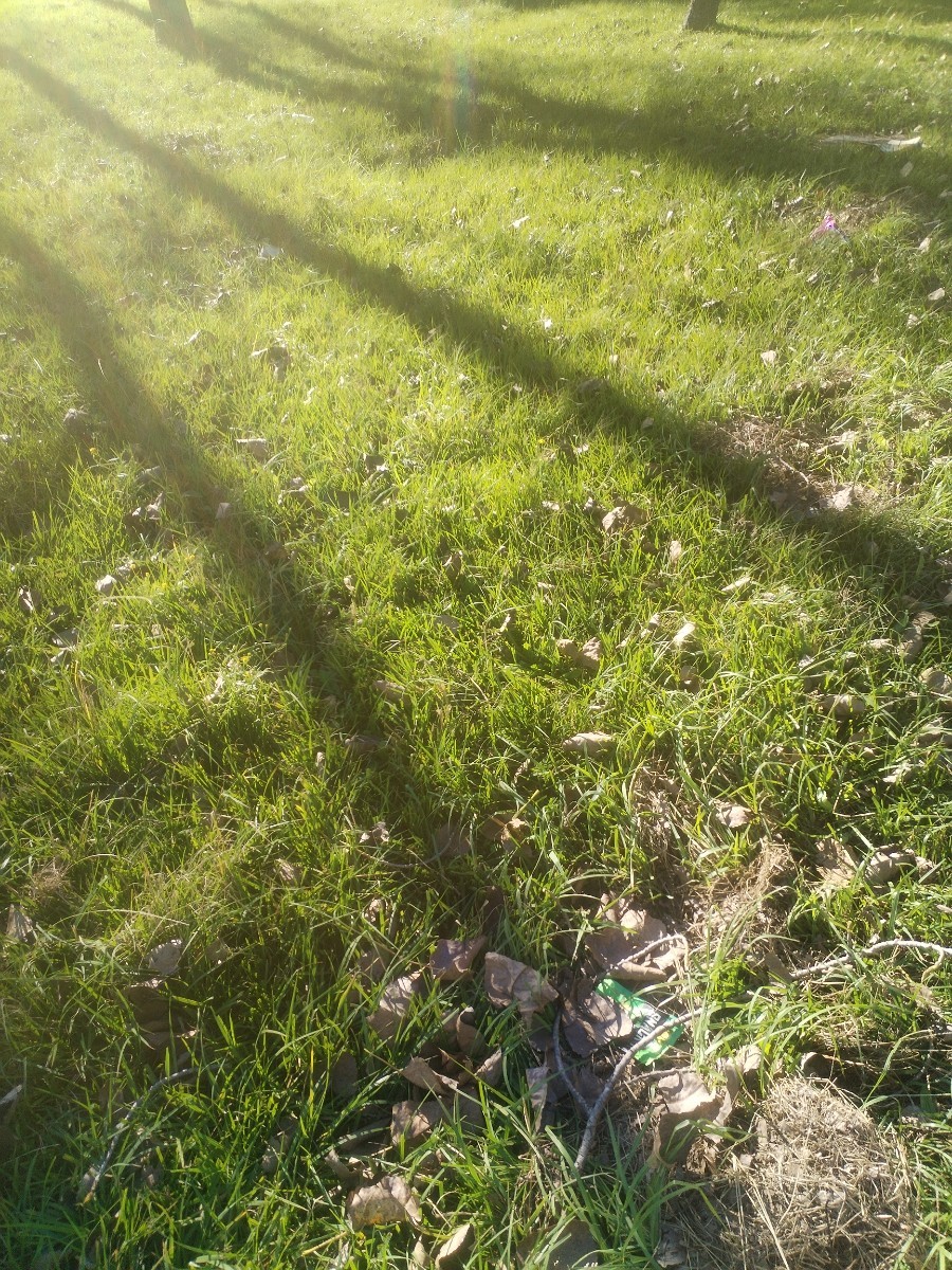 Vacant Land For Sale in Ingagane, Newcastle, KwaZulu Natal