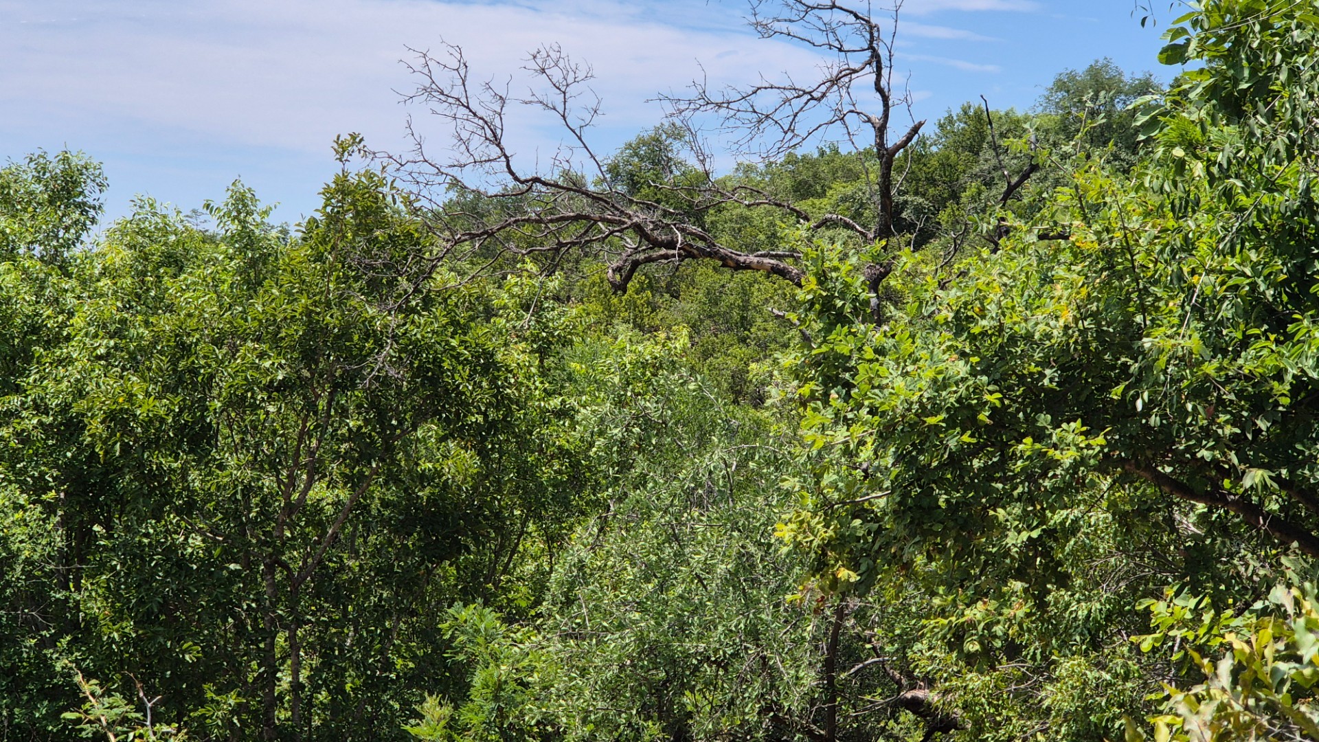 Vacant Land For Sale in Canyon Game Reserve, Hoedspruit