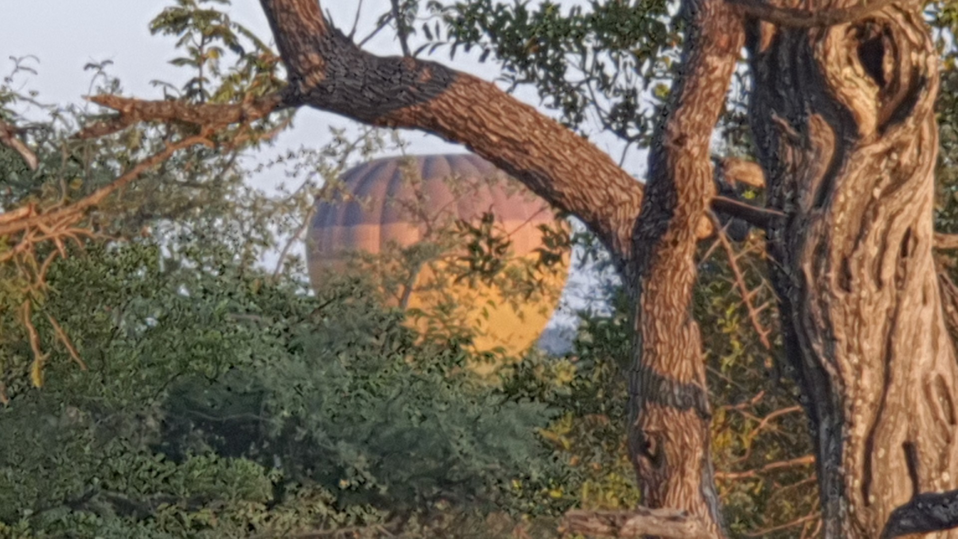 Vacant Land With Mountain View For Sale in Blyde Wildlife Estate, Hoedspruit