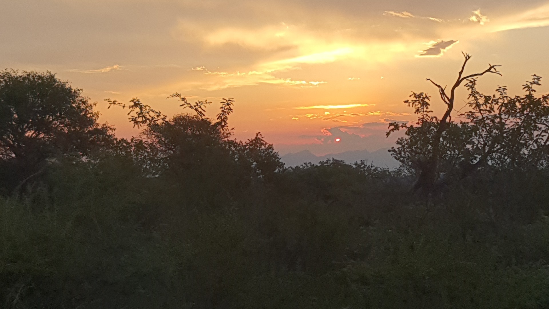 Vacant Land With Mountain View For Sale in Blyde Wildlife Estate, Hoedspruit