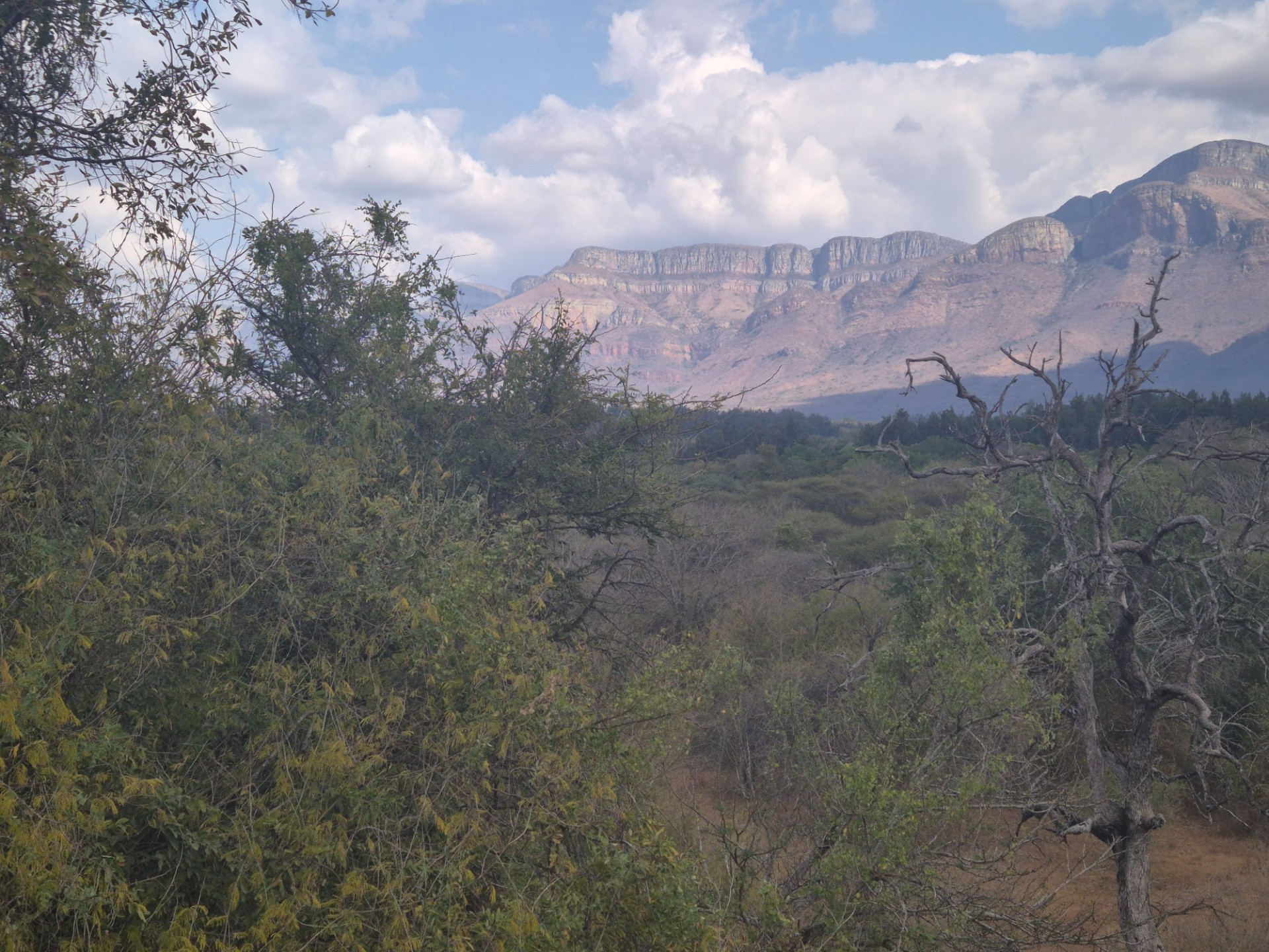 Vacant Land With Mountain View For Sale in Blyde Wildlife Estate, Hoedspruit