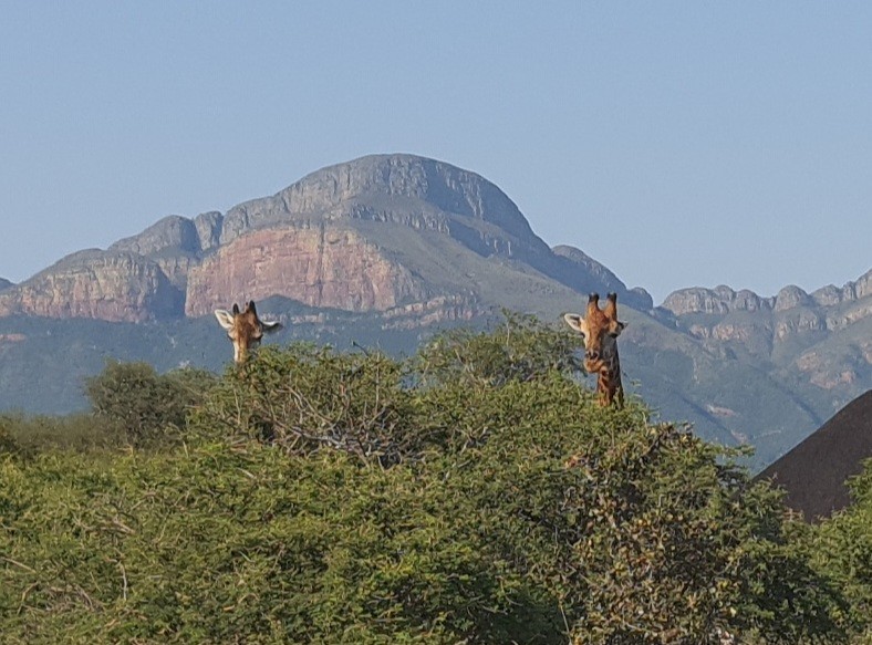 Vacant Land With Mountain View For Sale in Blyde Wildlife Estate, Hoedspruit