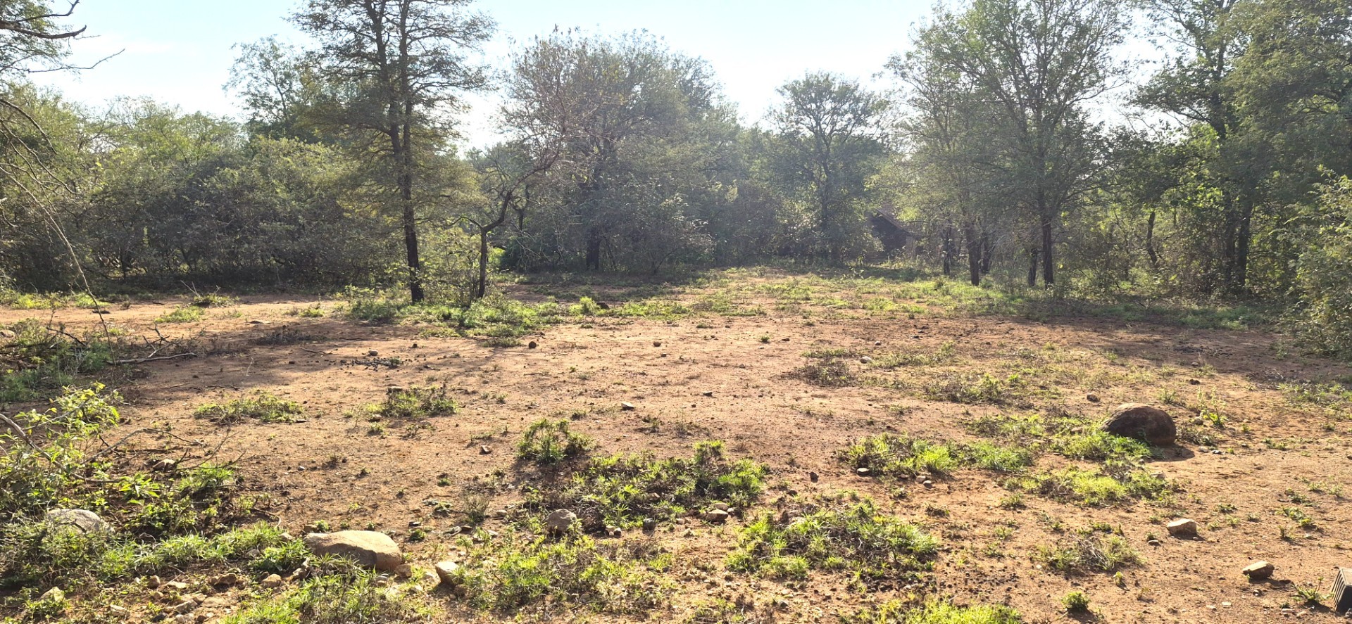 LARGE VACANT STAND WITHIN WALKING DISTANCE TO THE CROCODILE RIVER