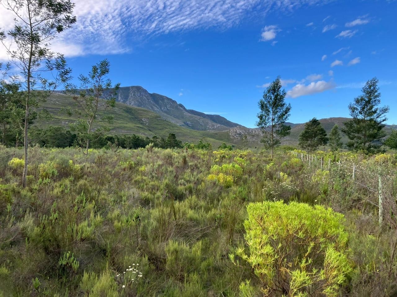 Farm For Sale