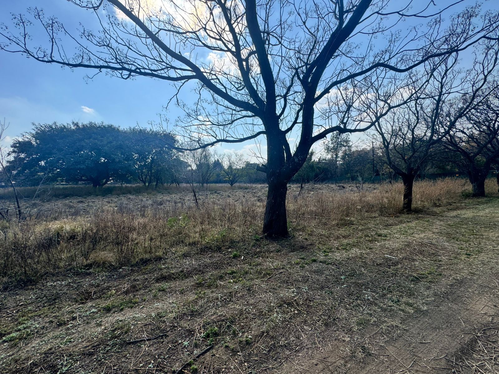2.55ha For Sale in Glenferness