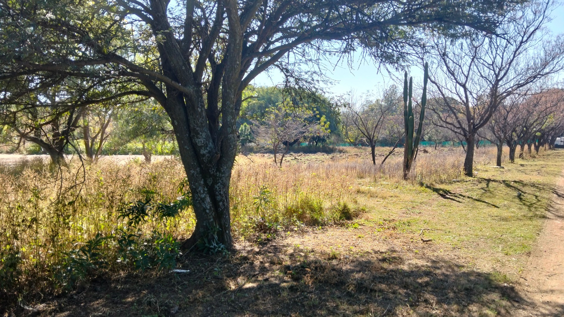 2.55ha For Sale in Glenferness