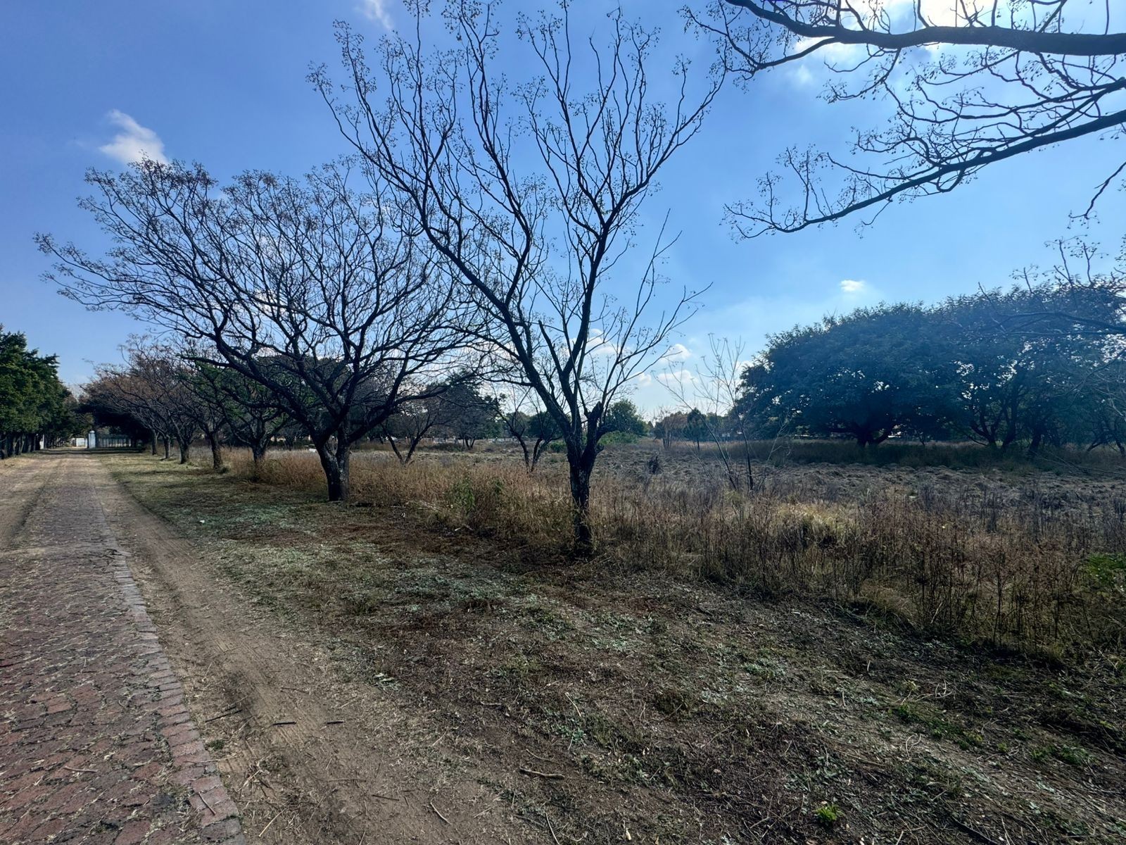 2.55ha For Sale in Glenferness