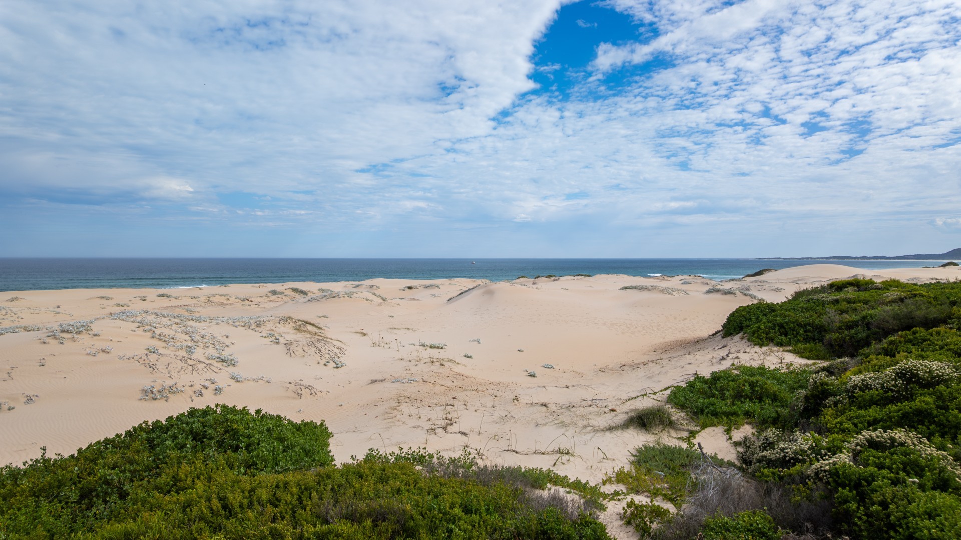 Prime Sea-view stands For Sale in Oyster Bay